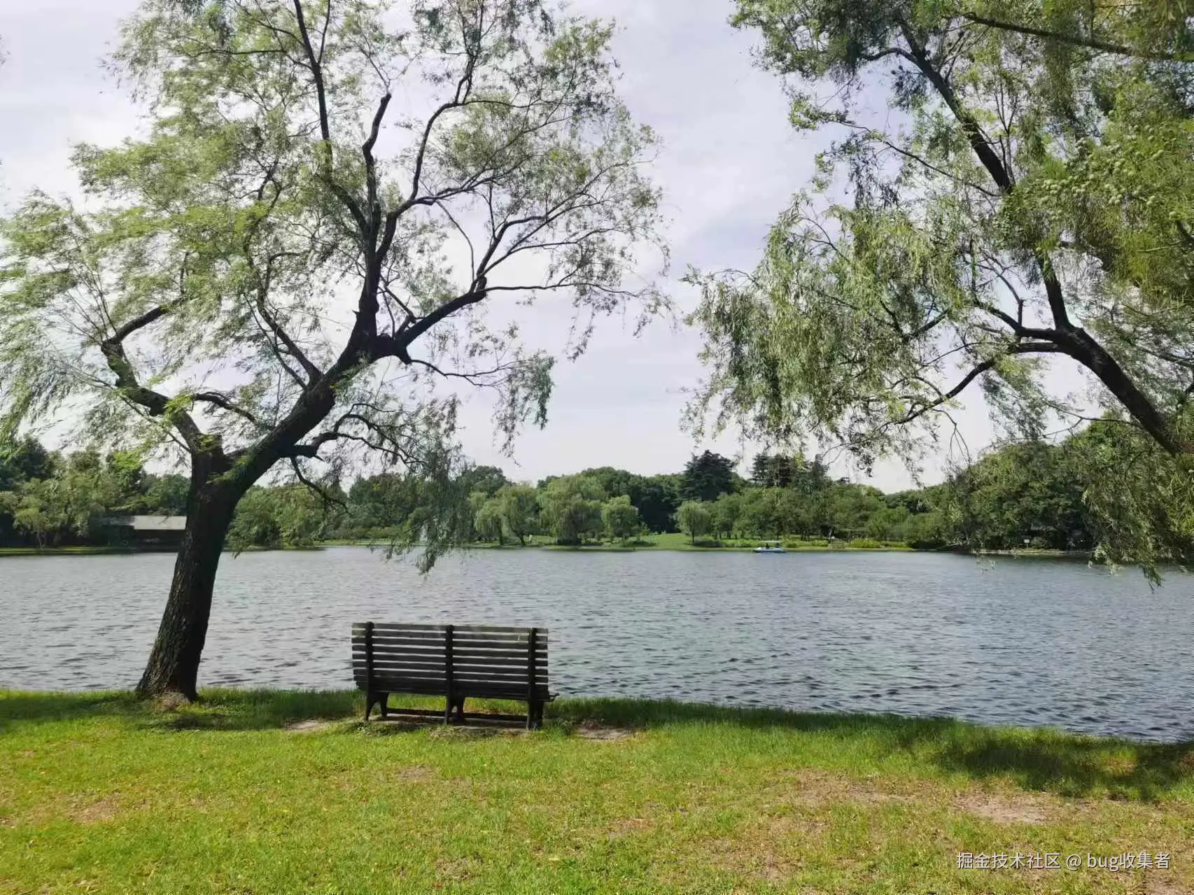 bug收集者于2024-07-20 17:29发布的图片