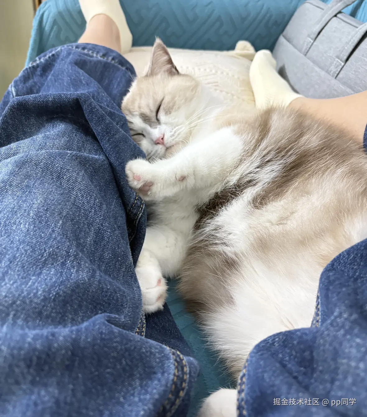 pp同学于2025-11-23 08:43发布的图片