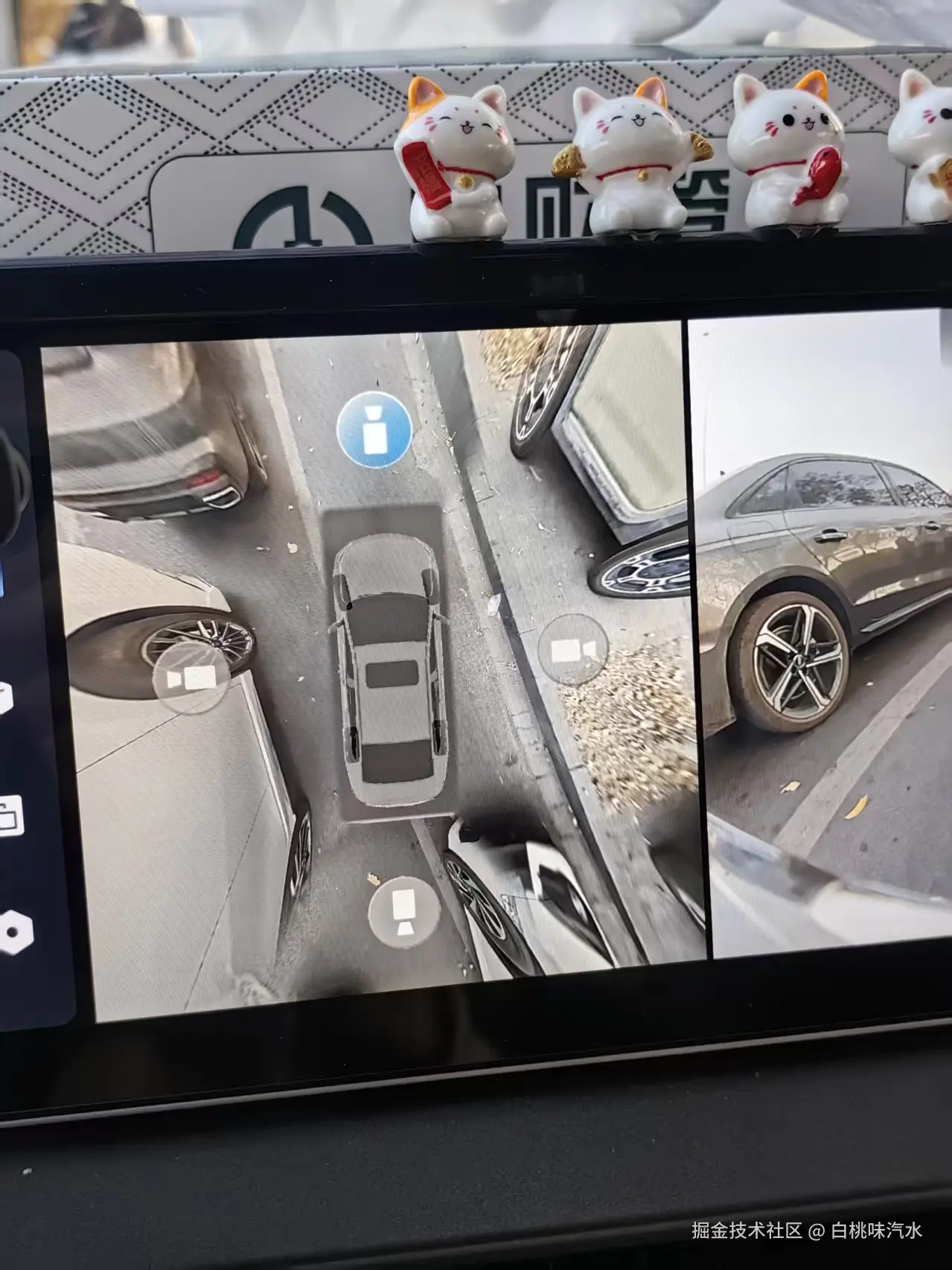 白桃味汽水于2025-12-15 14:17发布的图片