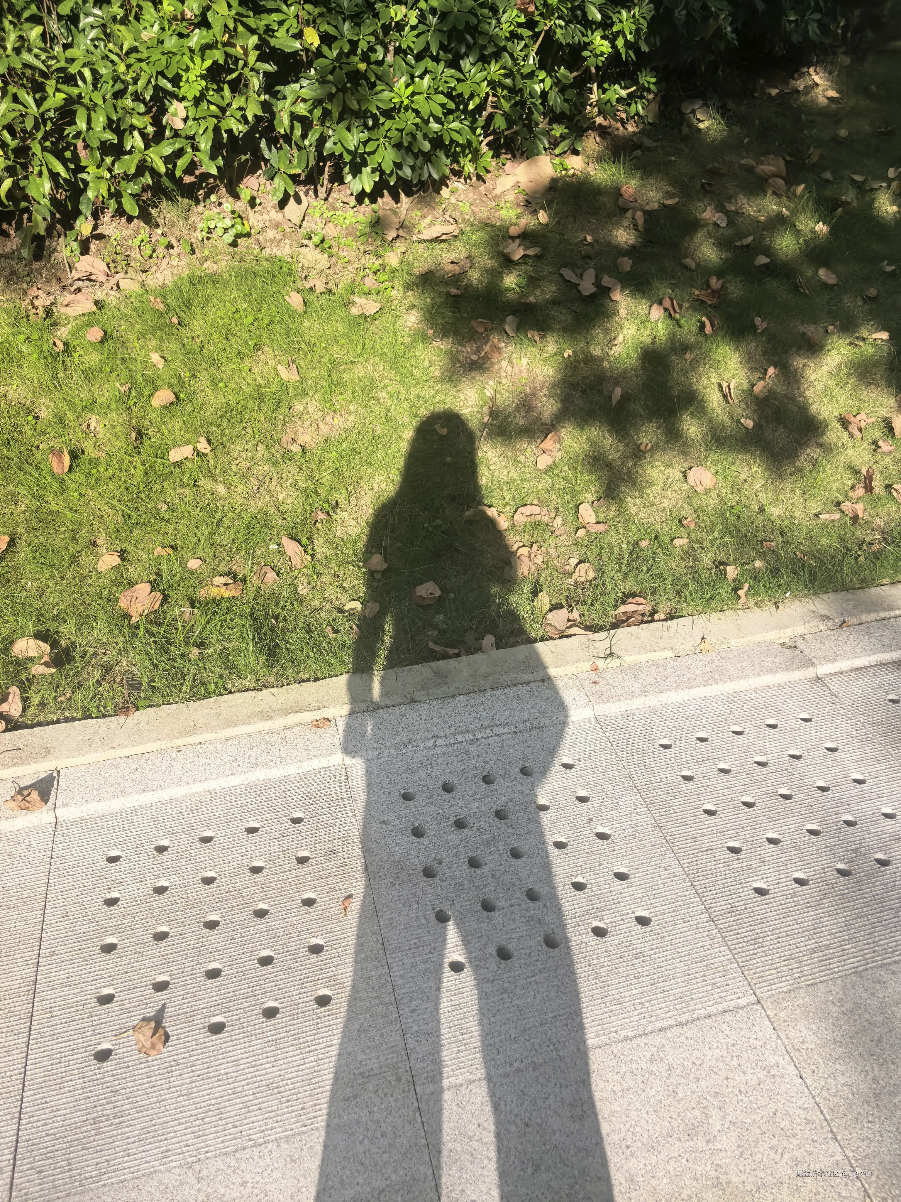 Serein_于2025-10-02 23:43发布的图片