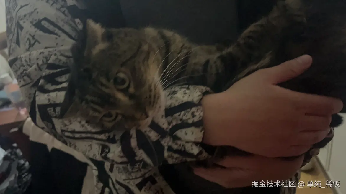 单纯_稀饭于2025-11-05 00:44发布的图片