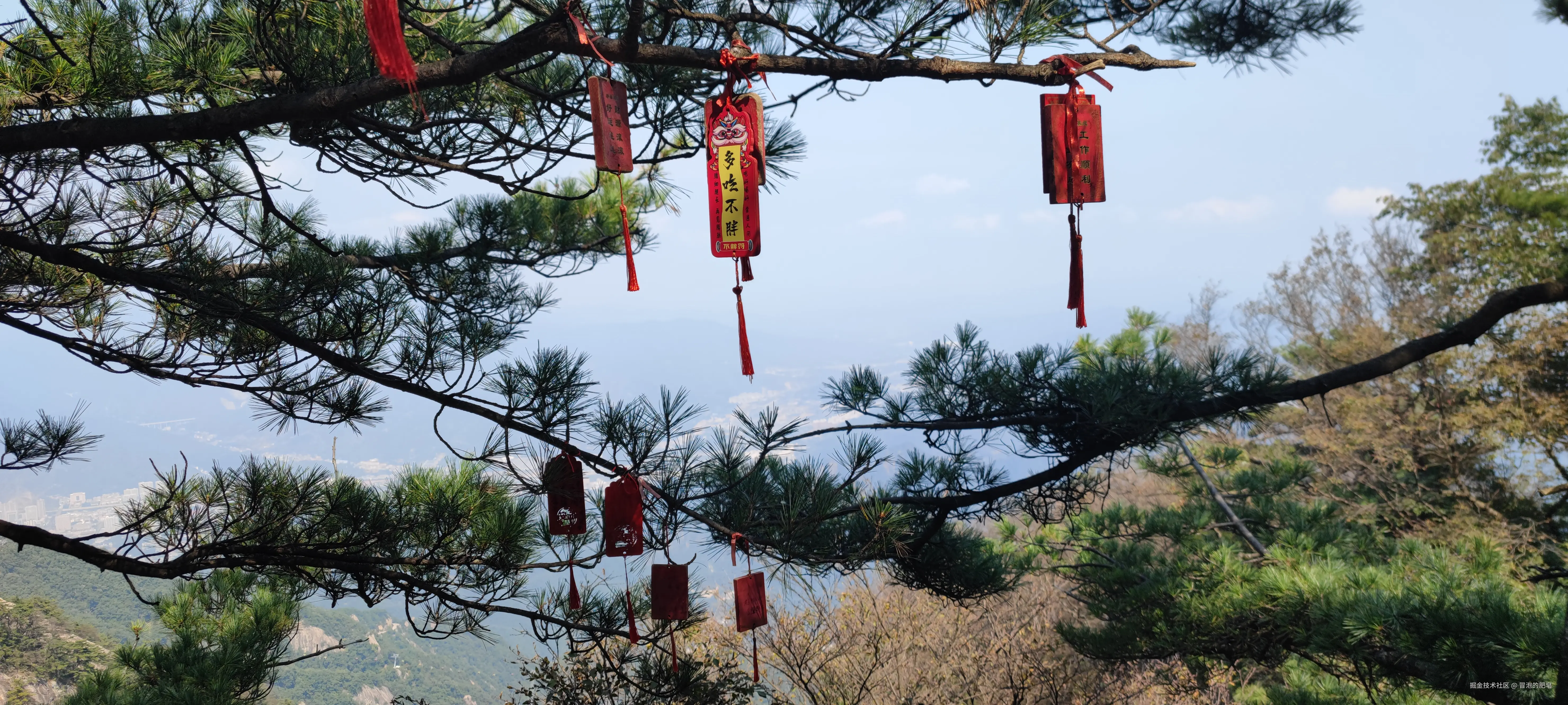 冒泡的肥皂于2024-09-28 11:32发布的图片