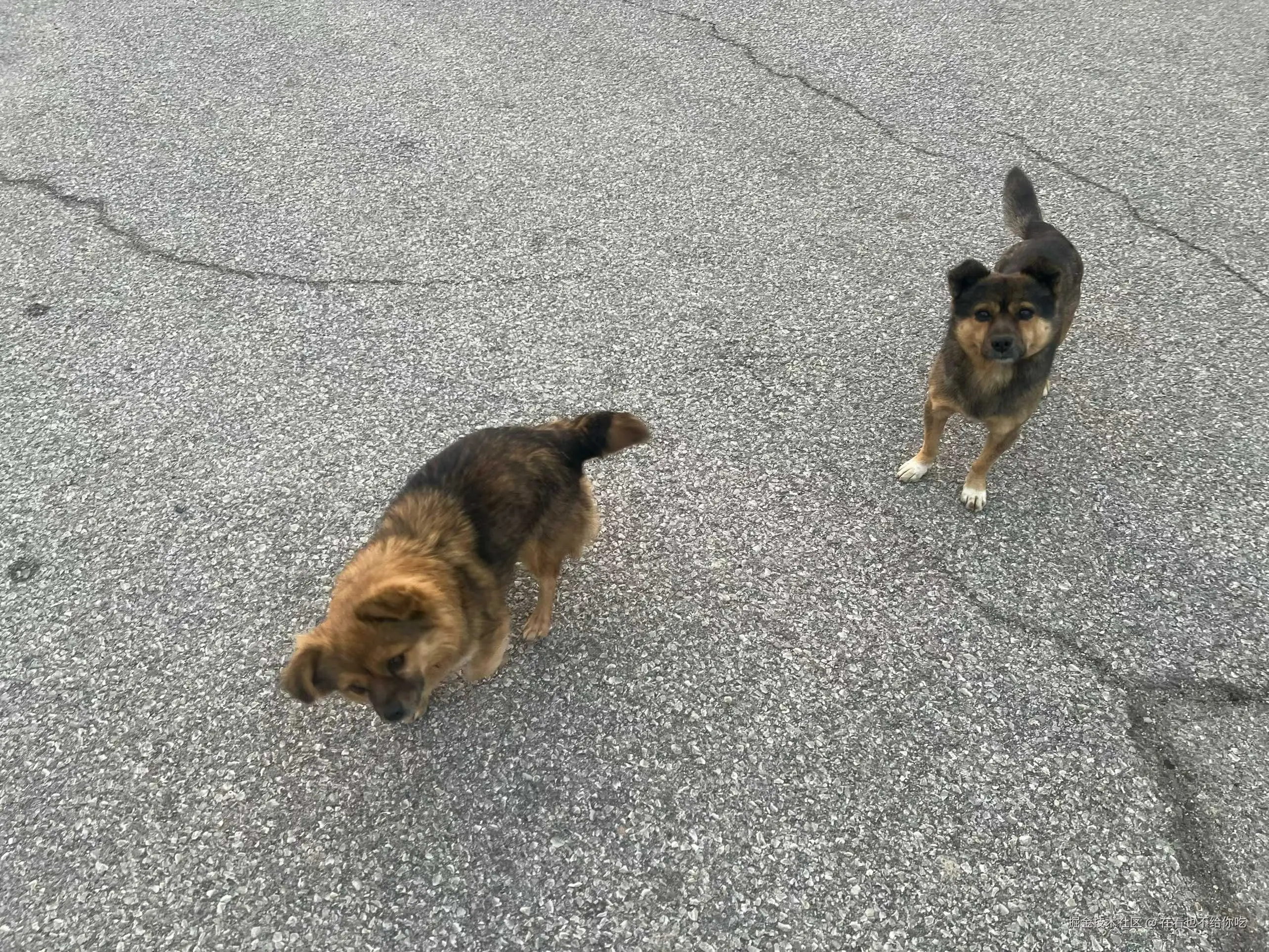 在看也不给你吃于2025-12-10 11:18发布的图片