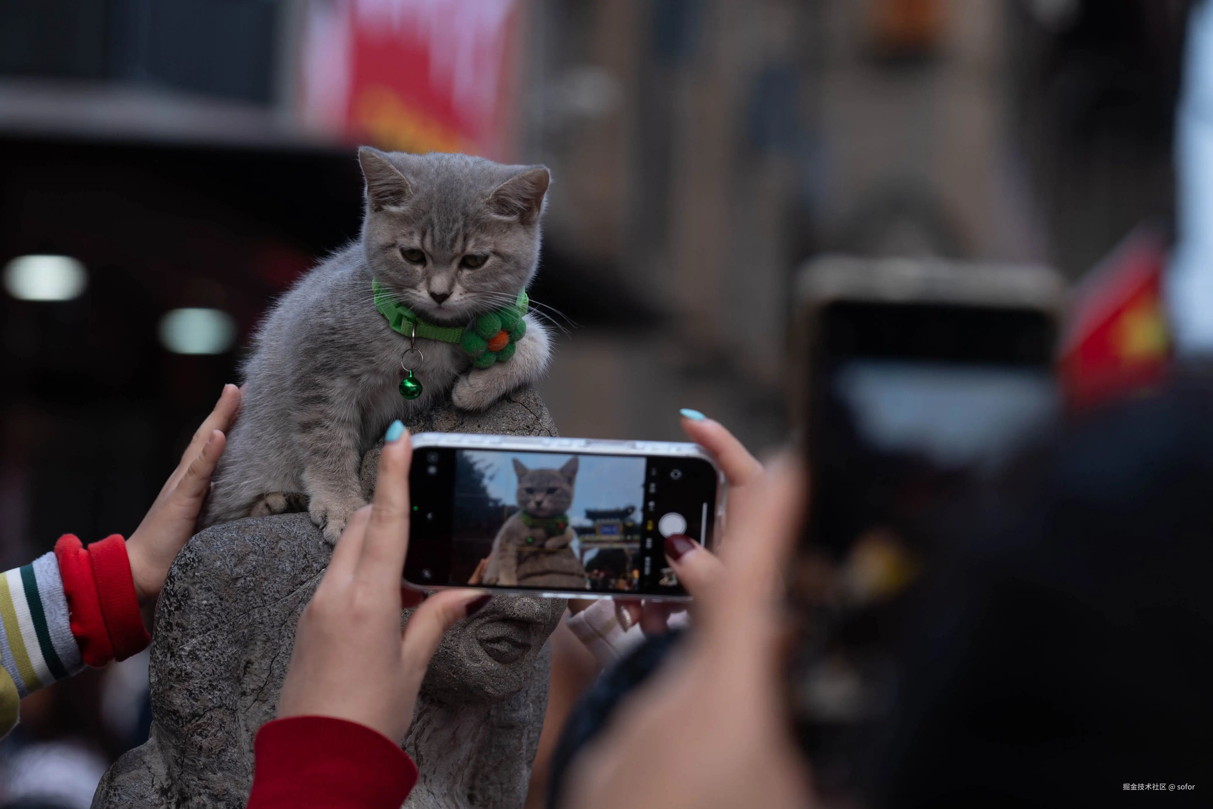 sofor于2025-10-10 11:40发布的图片