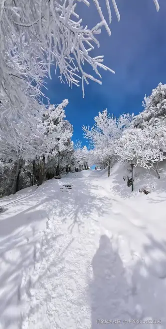 牛爷爷之龙王归来于2026-03-26 10:07发布的图片