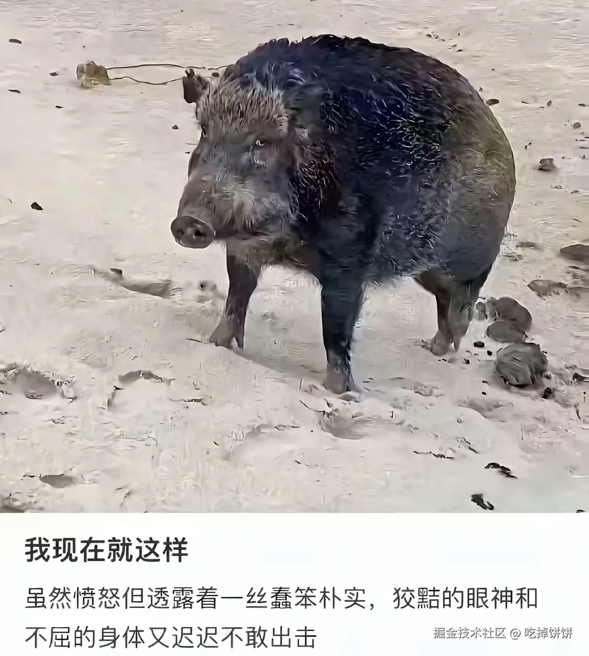 吃掉饼饼于2025-08-21 14:24发布的图片