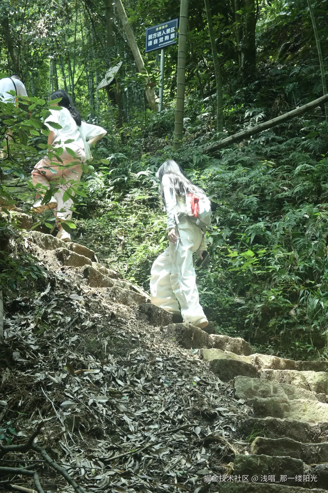 浅唱_那一缕阳光于2026-01-09 10:56发布的图片