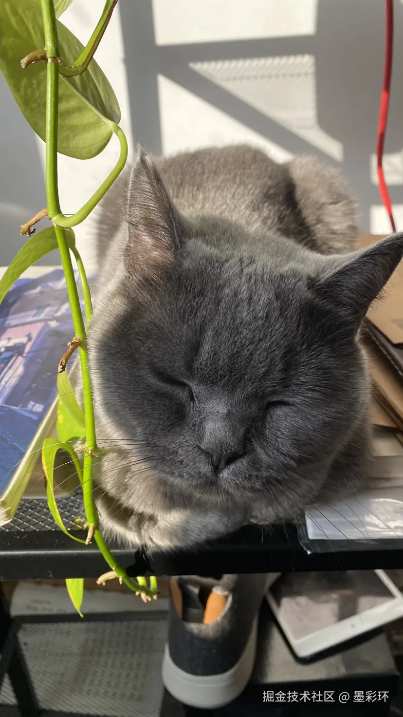 墨彩环于2024-12-02 08:09发布的图片