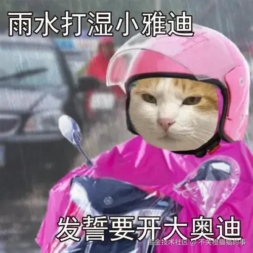 不关橙猫猫的事于2024-08-13 17:07发布的图片