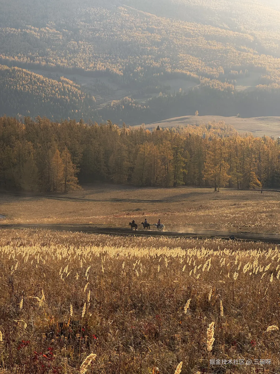 三碗呀于2025-10-22 13:55发布的图片