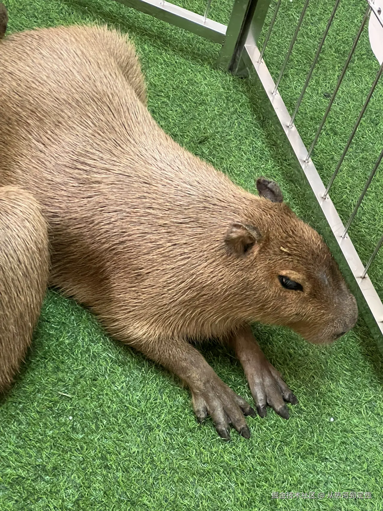 从热河到定西于2024-12-23 15:21发布的图片