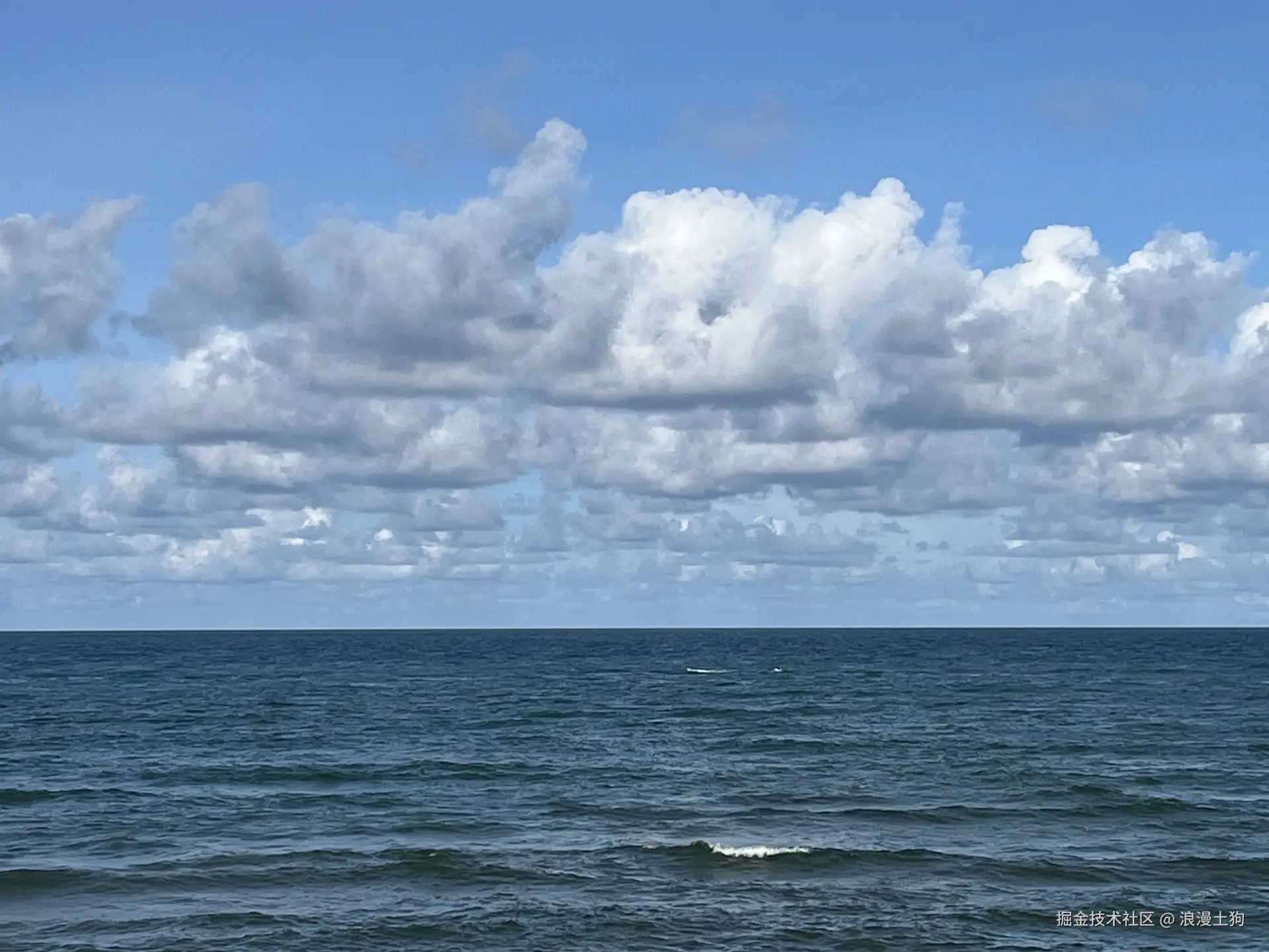 浪漫土狗于2024-10-08 15:21发布的图片