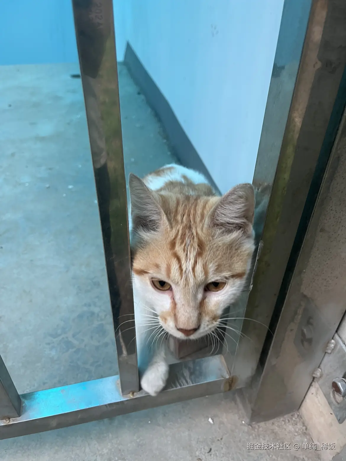 单纯_稀饭于2025-09-10 08:17发布的图片