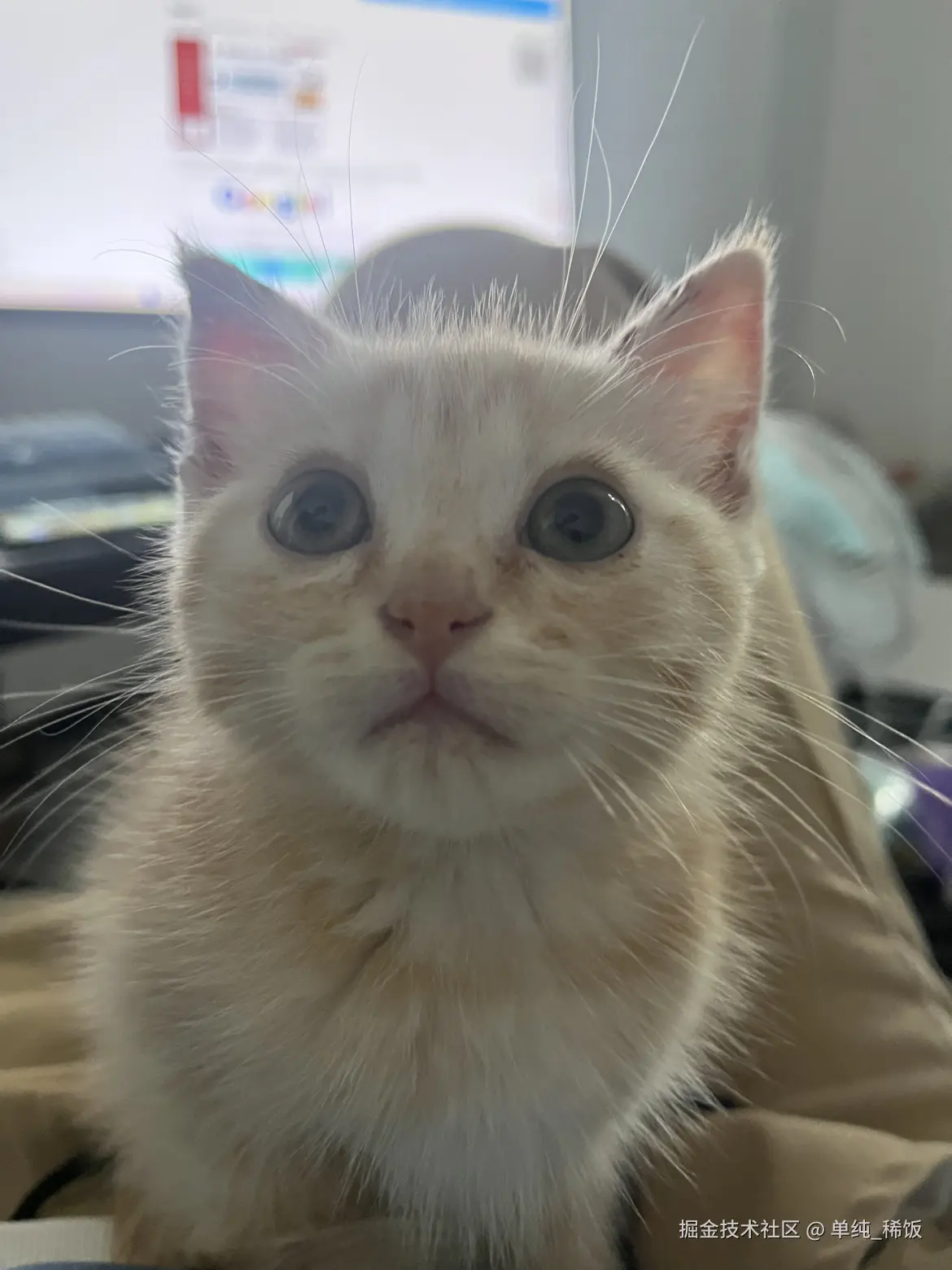 单纯_稀饭于2025-03-03 10:52发布的图片