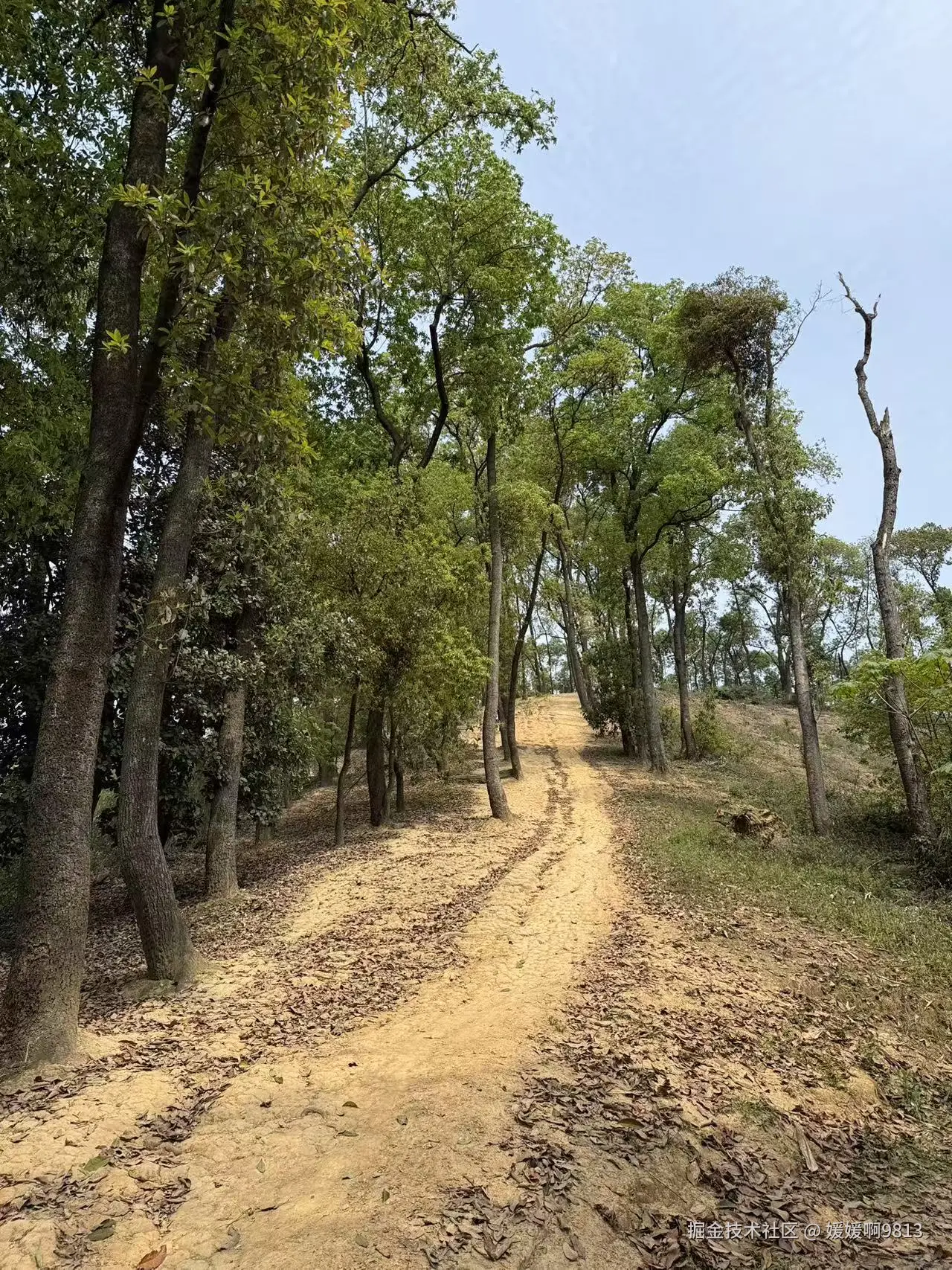 媛媛啊9813于2026-03-15 09:11发布的图片