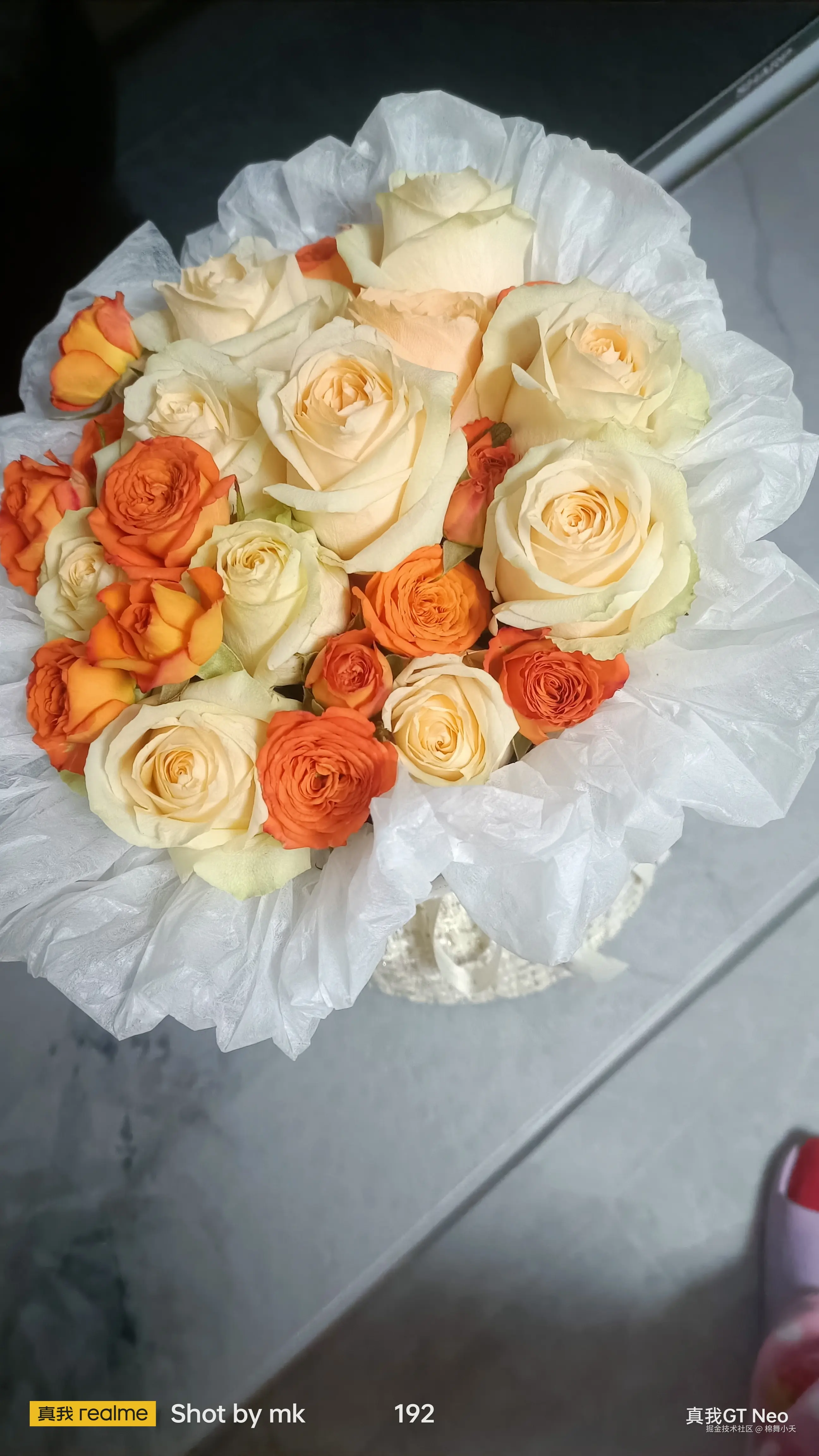 棉舞小夭于2026-03-04 15:16发布的图片