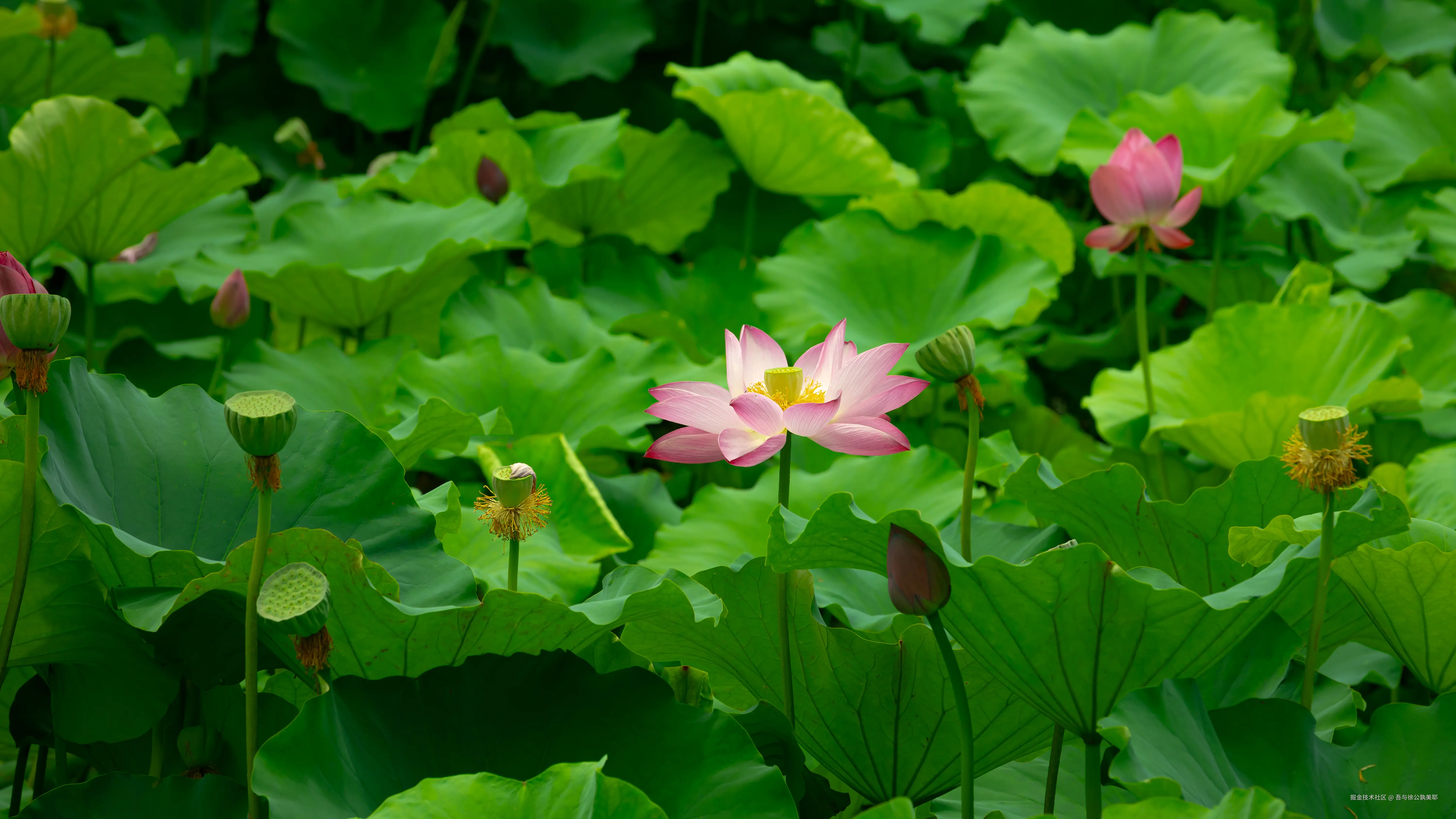 吾与徐公孰美耶于2025-06-27 09:58发布的图片