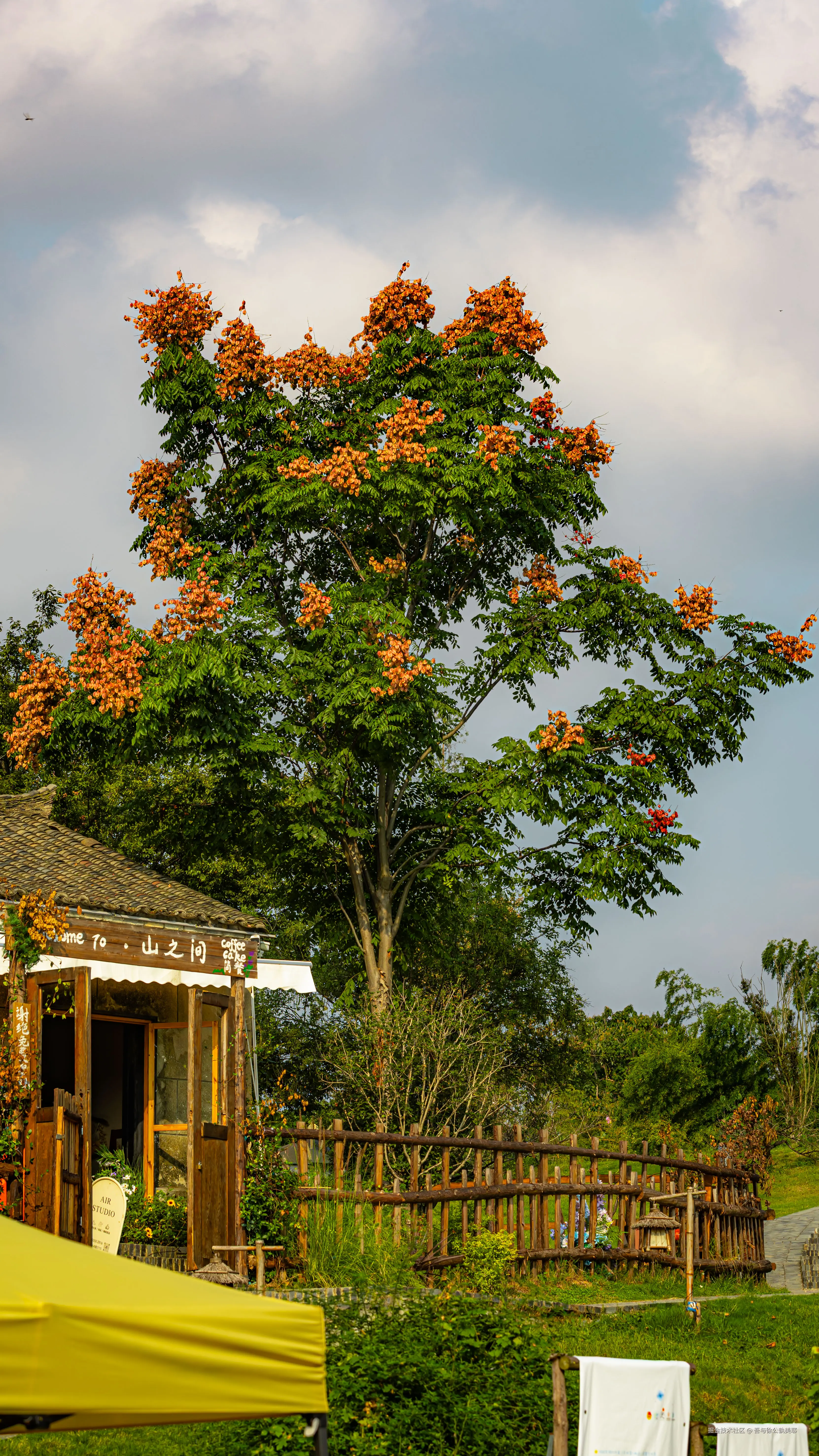 吾与徐公孰美耶于2025-10-24 14:39发布的图片