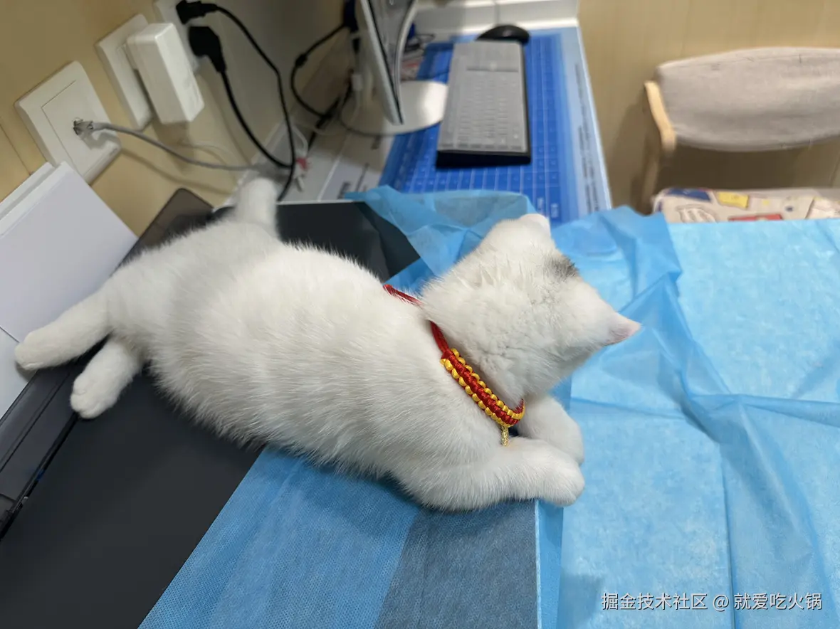 就爱吃火锅于2025-04-07 09:11发布的图片