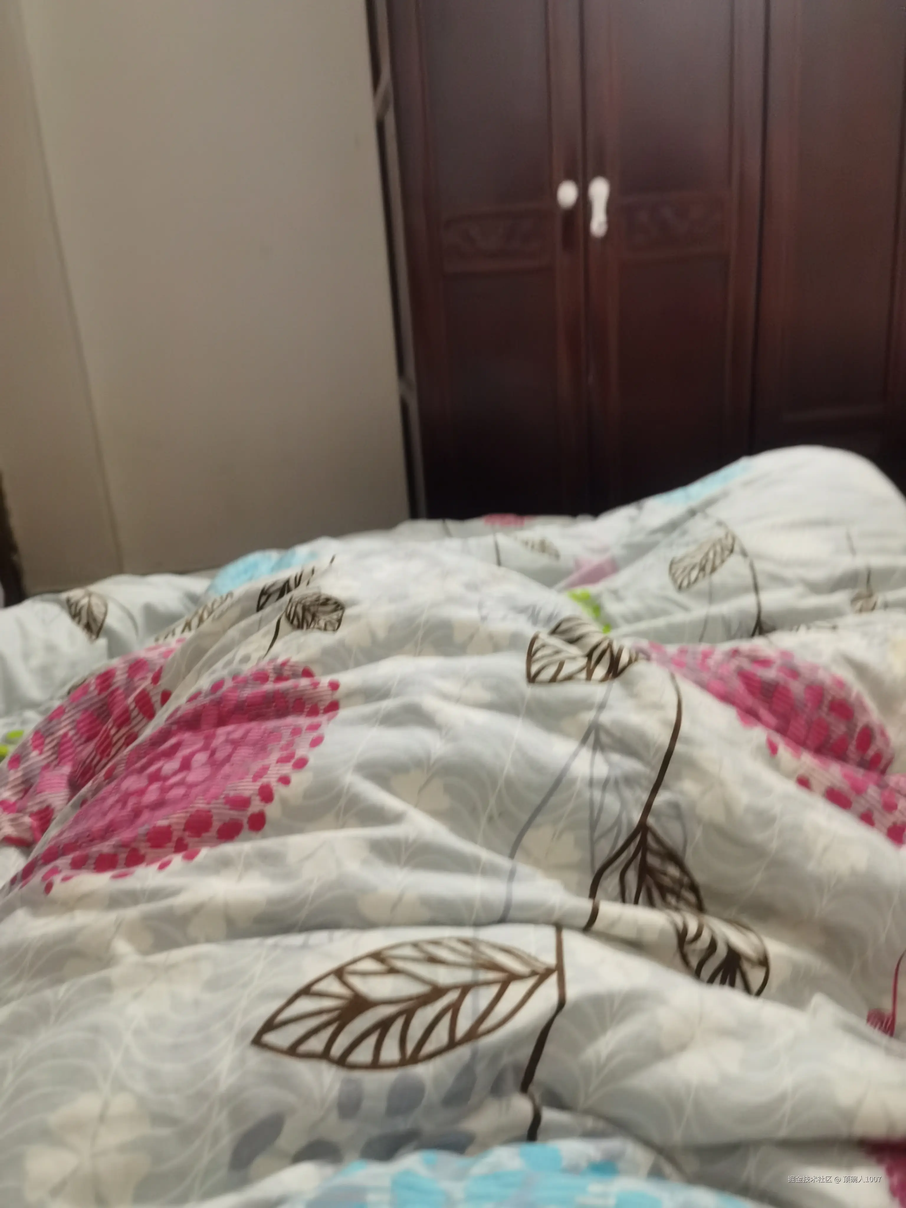 顶碗人1007于2026-03-06 11:21发布的图片