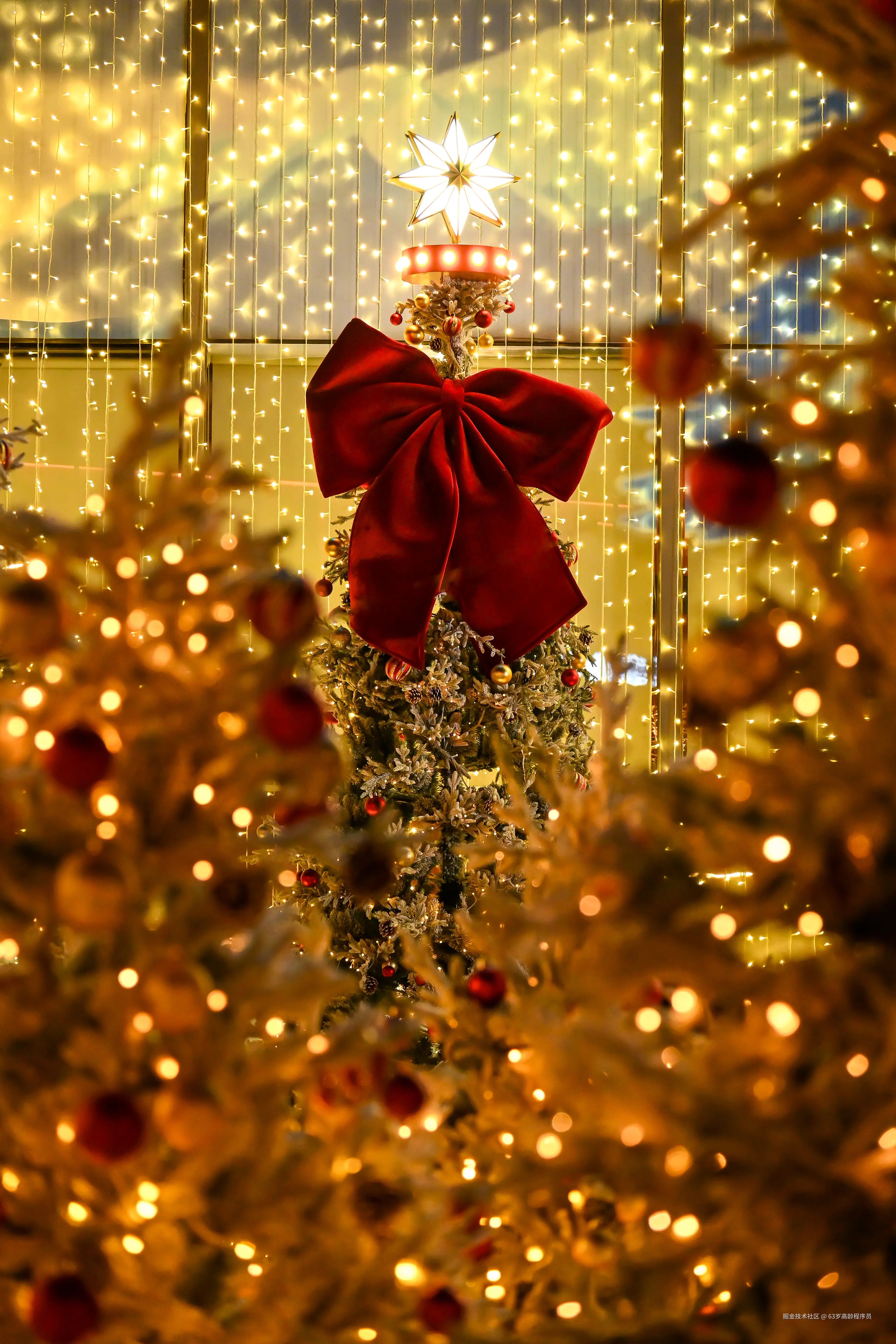 63岁高龄程序员于2025-12-19 09:26发布的图片