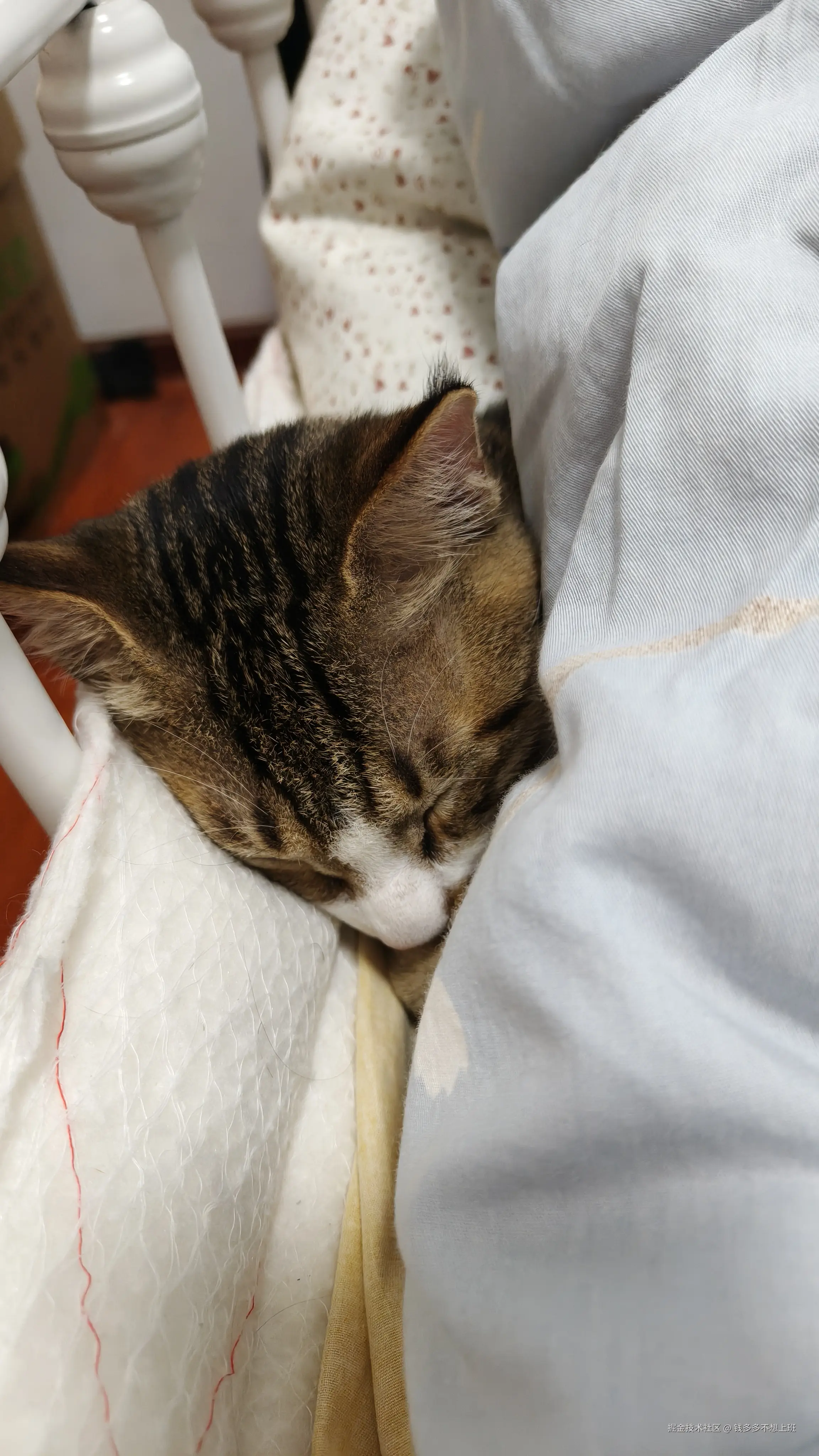 钱多多不想上班于2025-11-10 14:01发布的图片