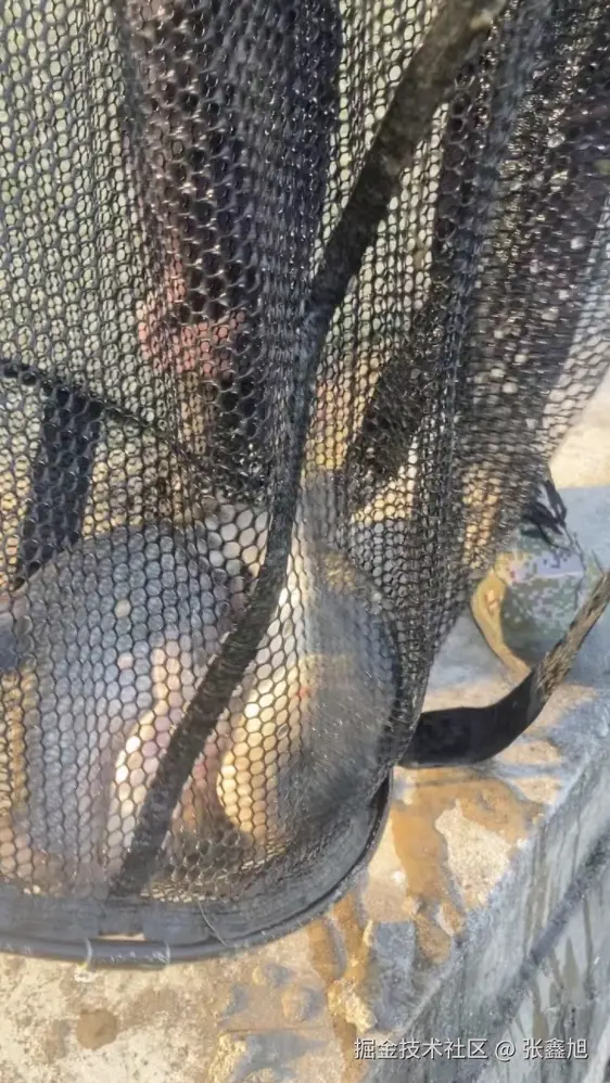 张鑫旭于2025-01-09 02:35发布的图片