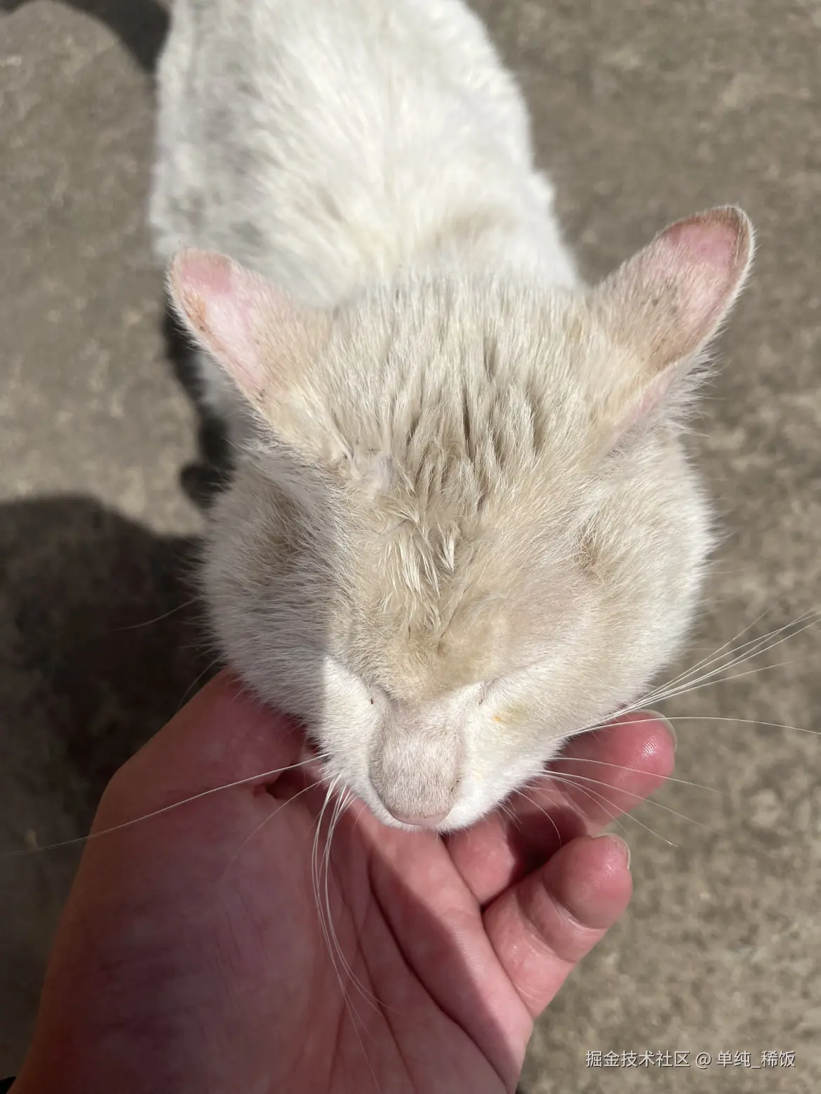 单纯_稀饭于2025-04-25 12:03发布的图片