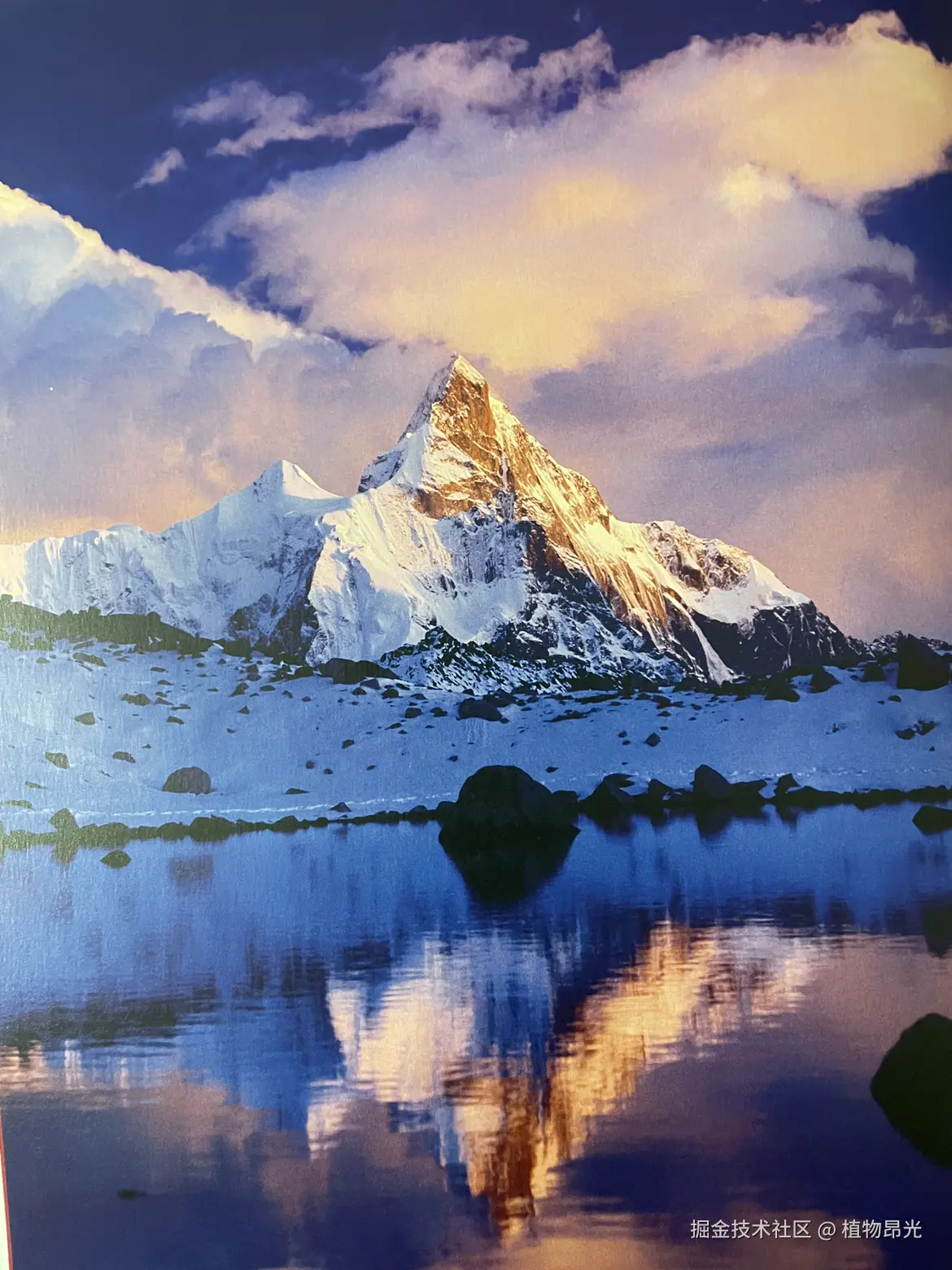 植物昂光于2026-03-12 22:26发布的图片