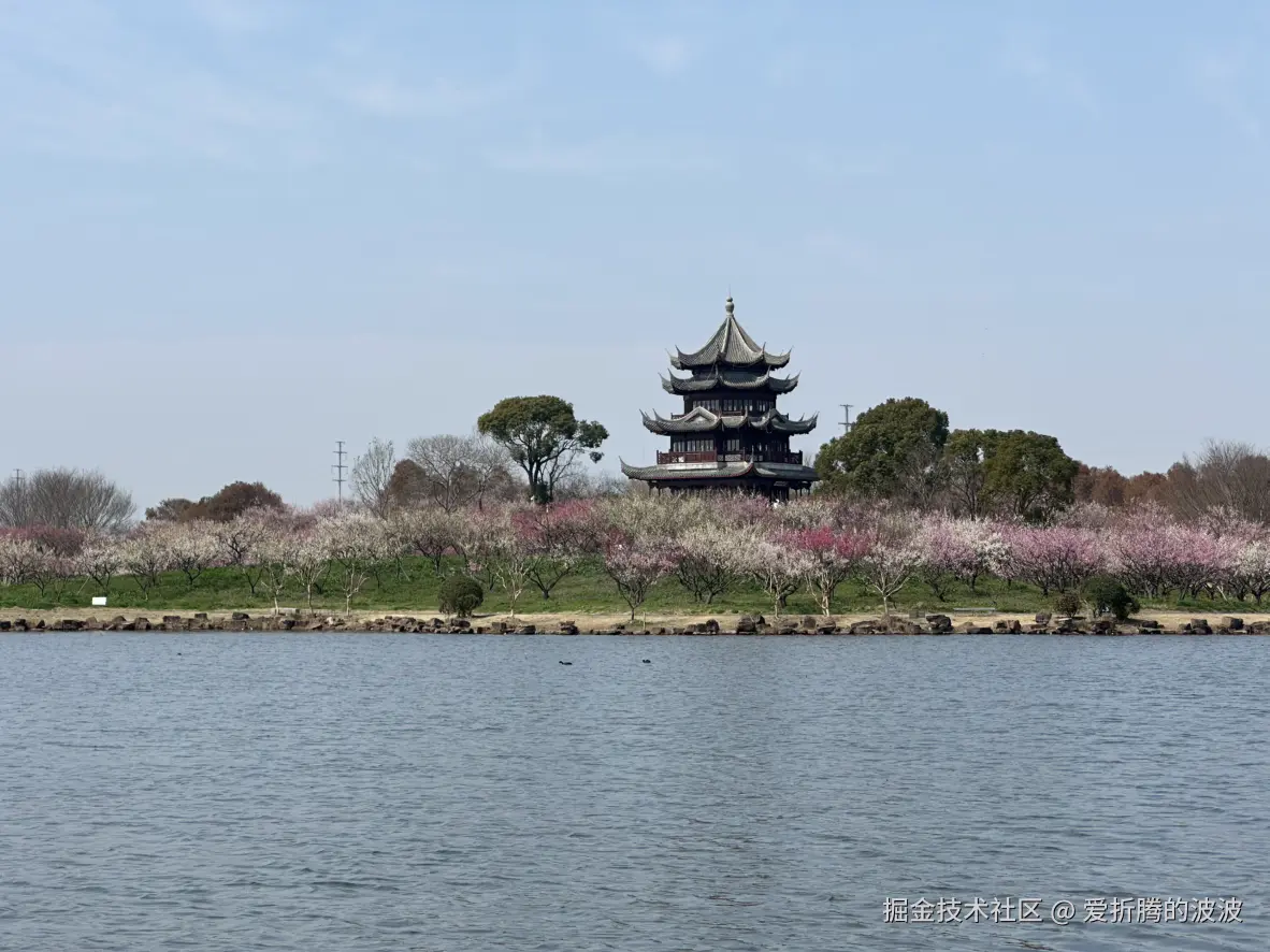 爱折腾的波波于2025-03-11 23:44发布的图片