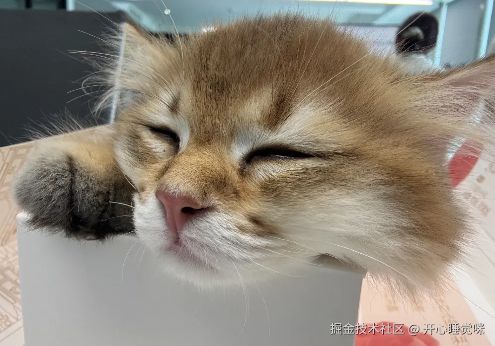 开心睡觉咪于2025-08-18 14:22发布的图片