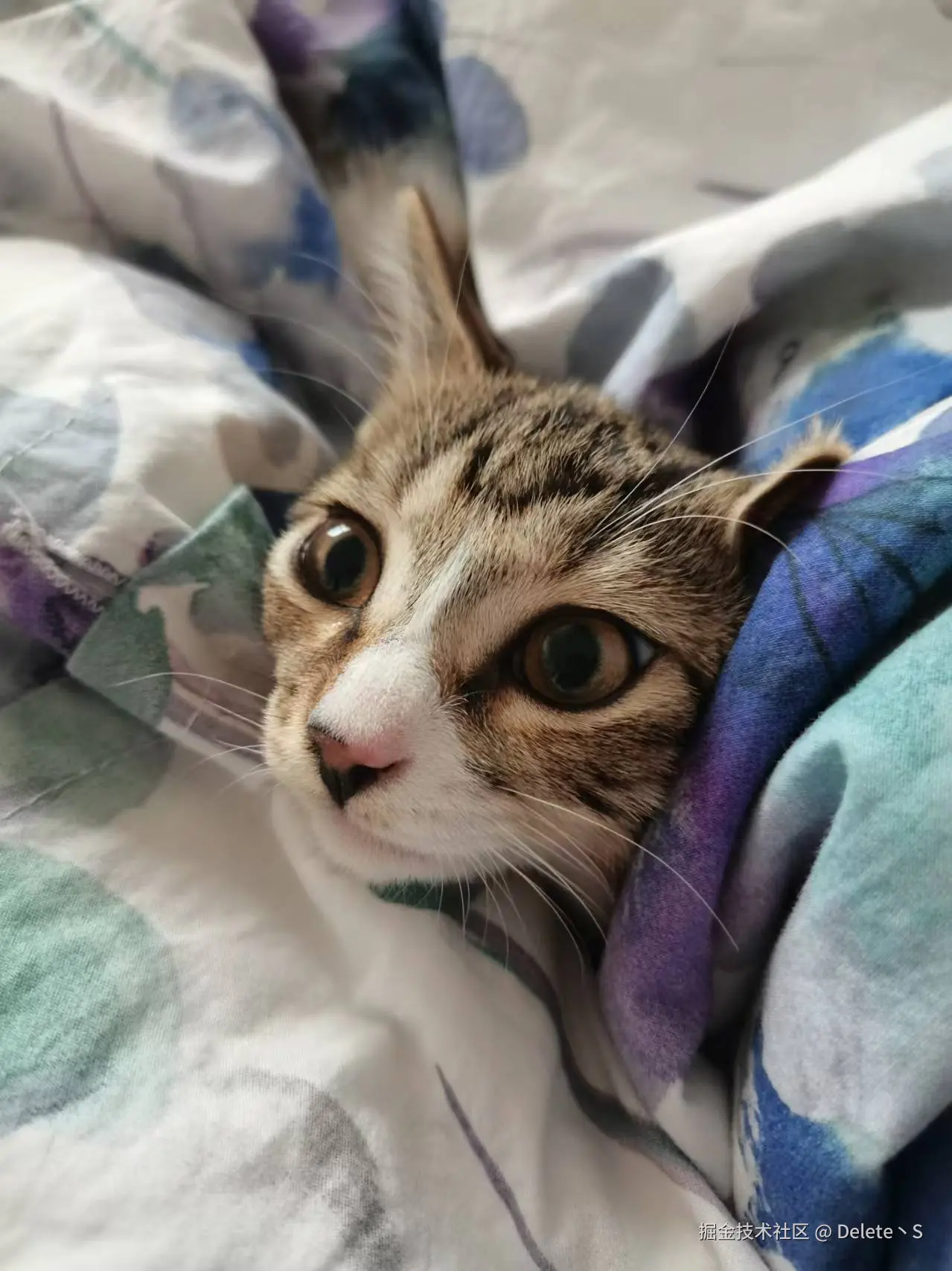 Delete丶S于2024-08-22 16:54发布的图片