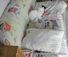 就爱吃火锅于2025-10-17 17:16发布的图片