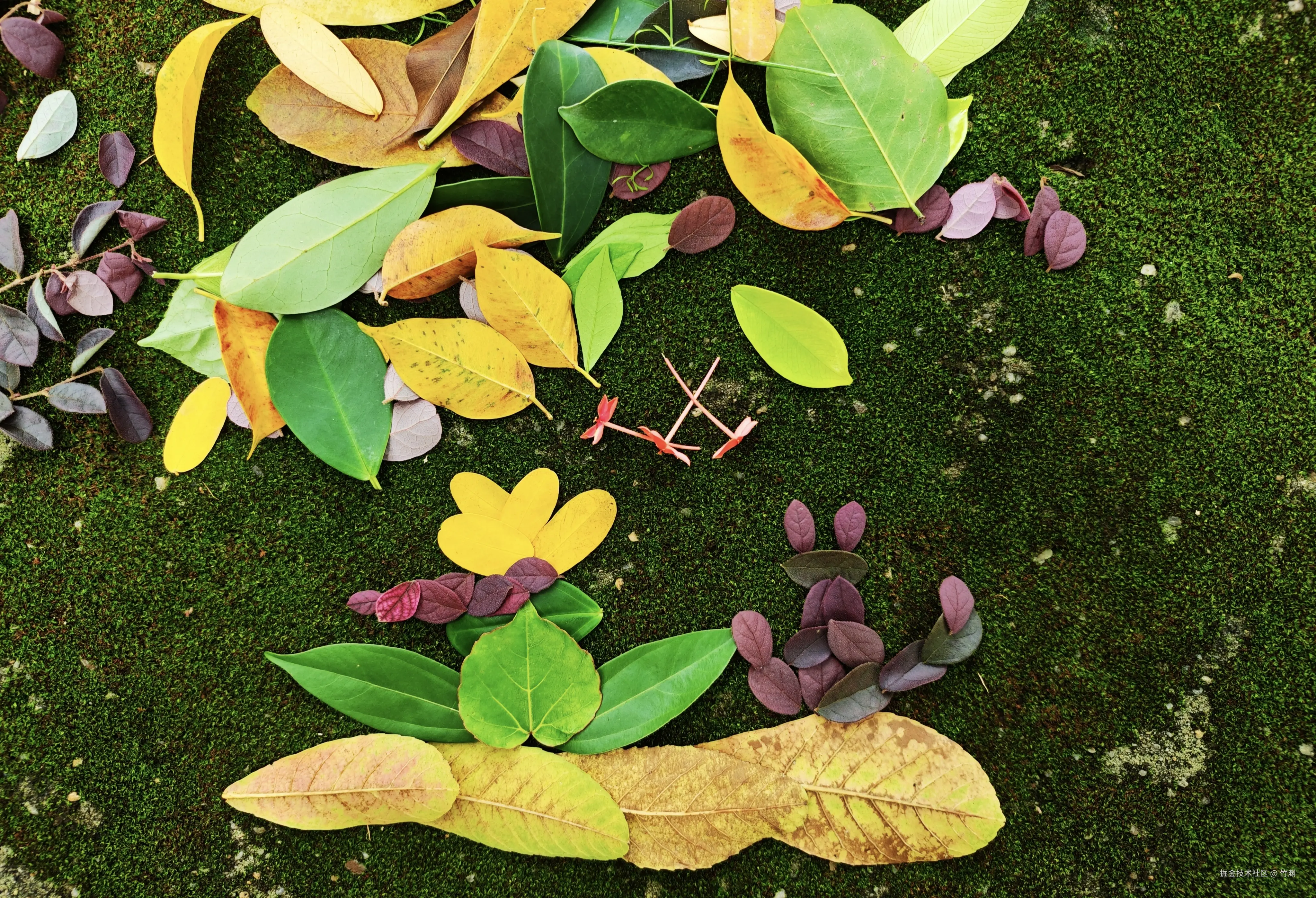 竹渊于2025-08-16 17:28发布的图片