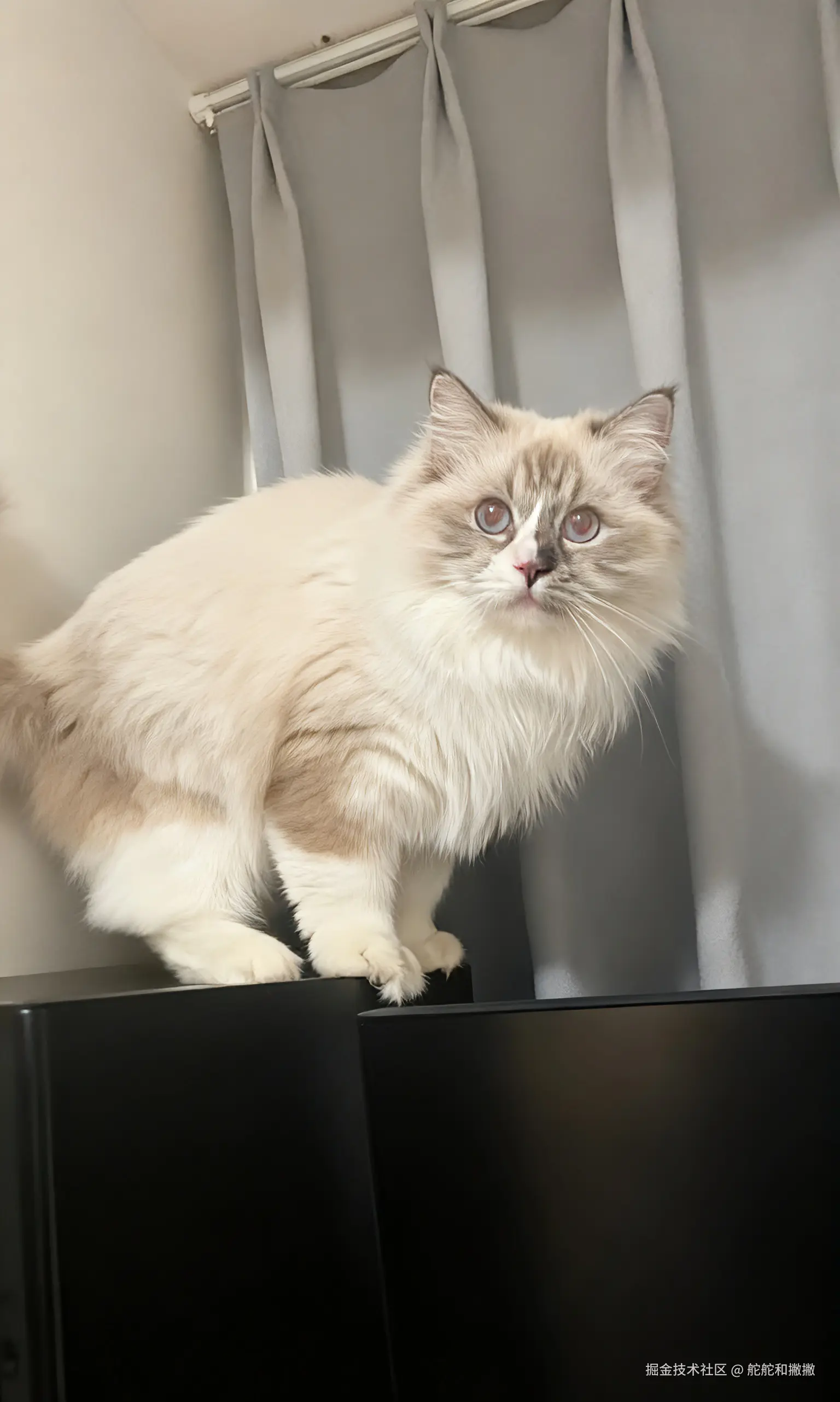 舵舵和撇撇于2026-03-10 10:26发布的图片