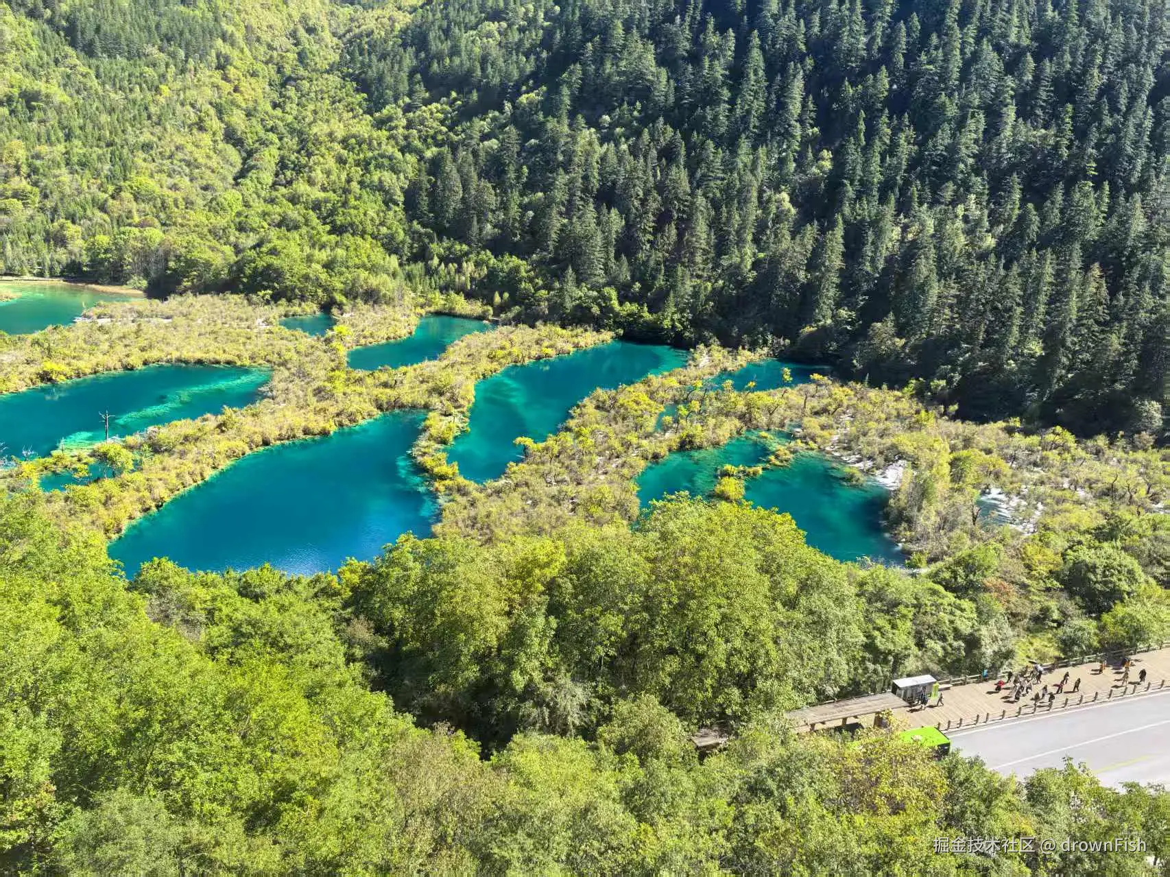 drownFish于2025-10-09 09:42发布的图片