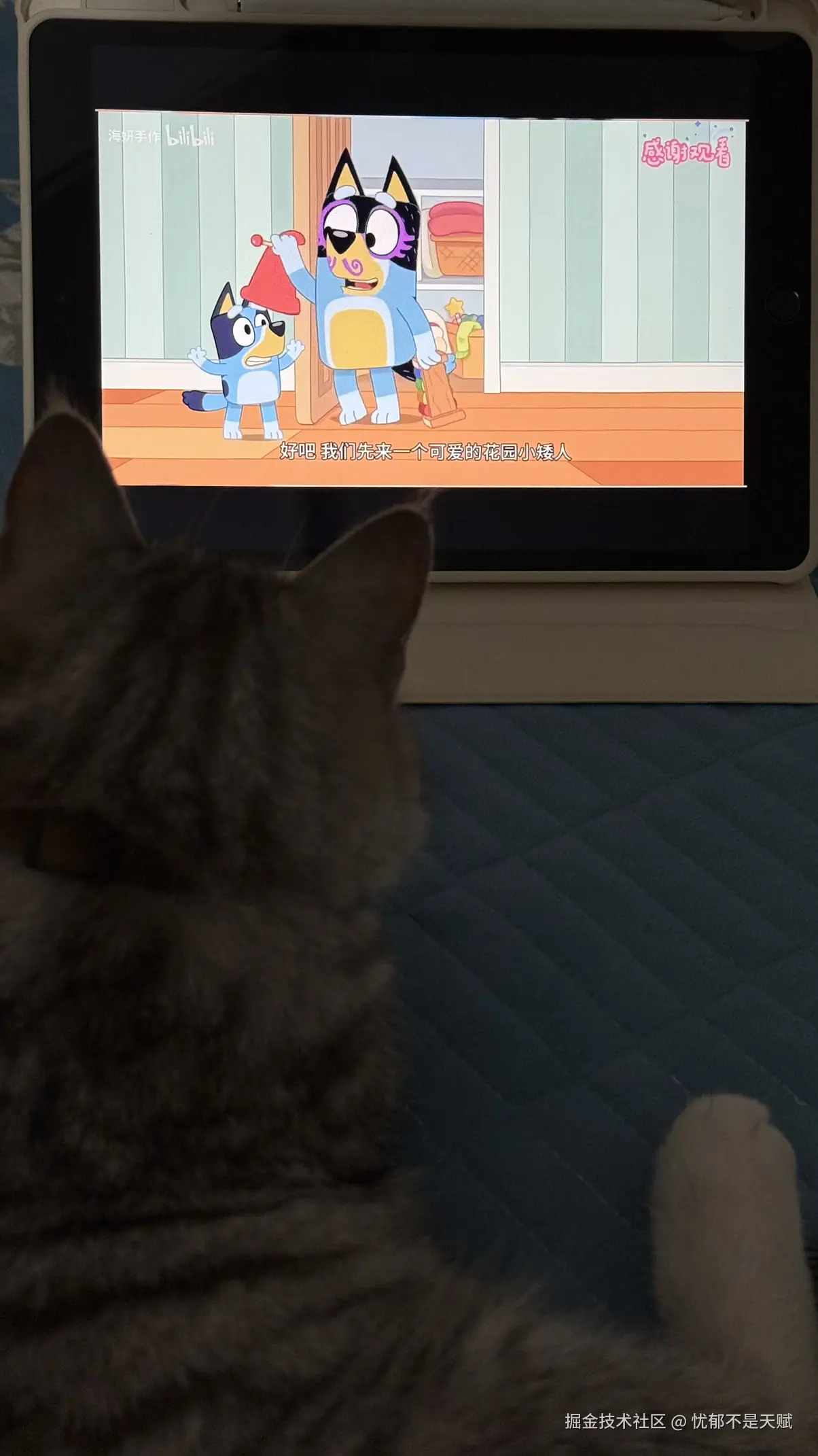 忧郁不是天赋于2026-01-23 20:17发布的图片