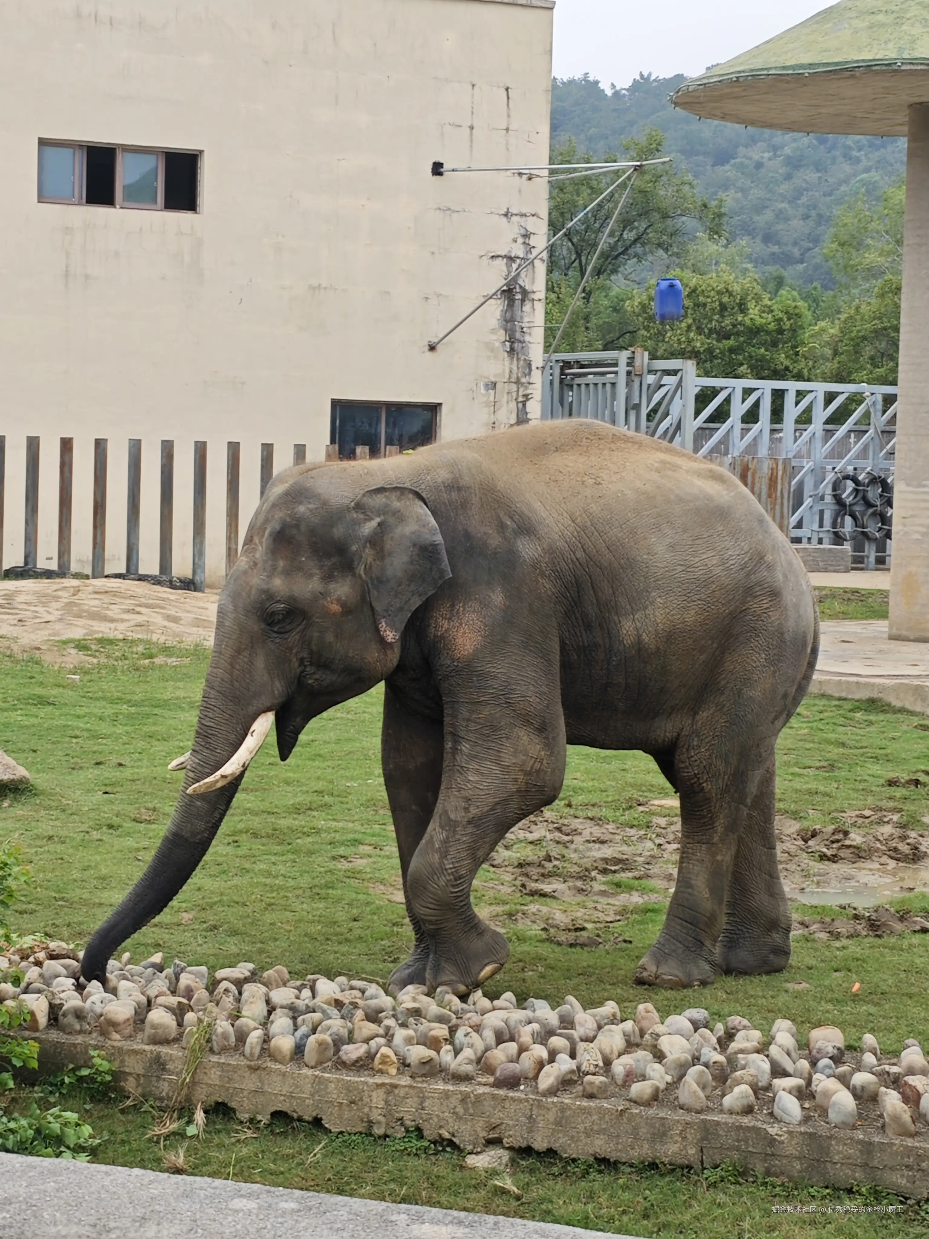 优秀稳妥的金枪小魔王于2025-09-23 09:57发布的图片