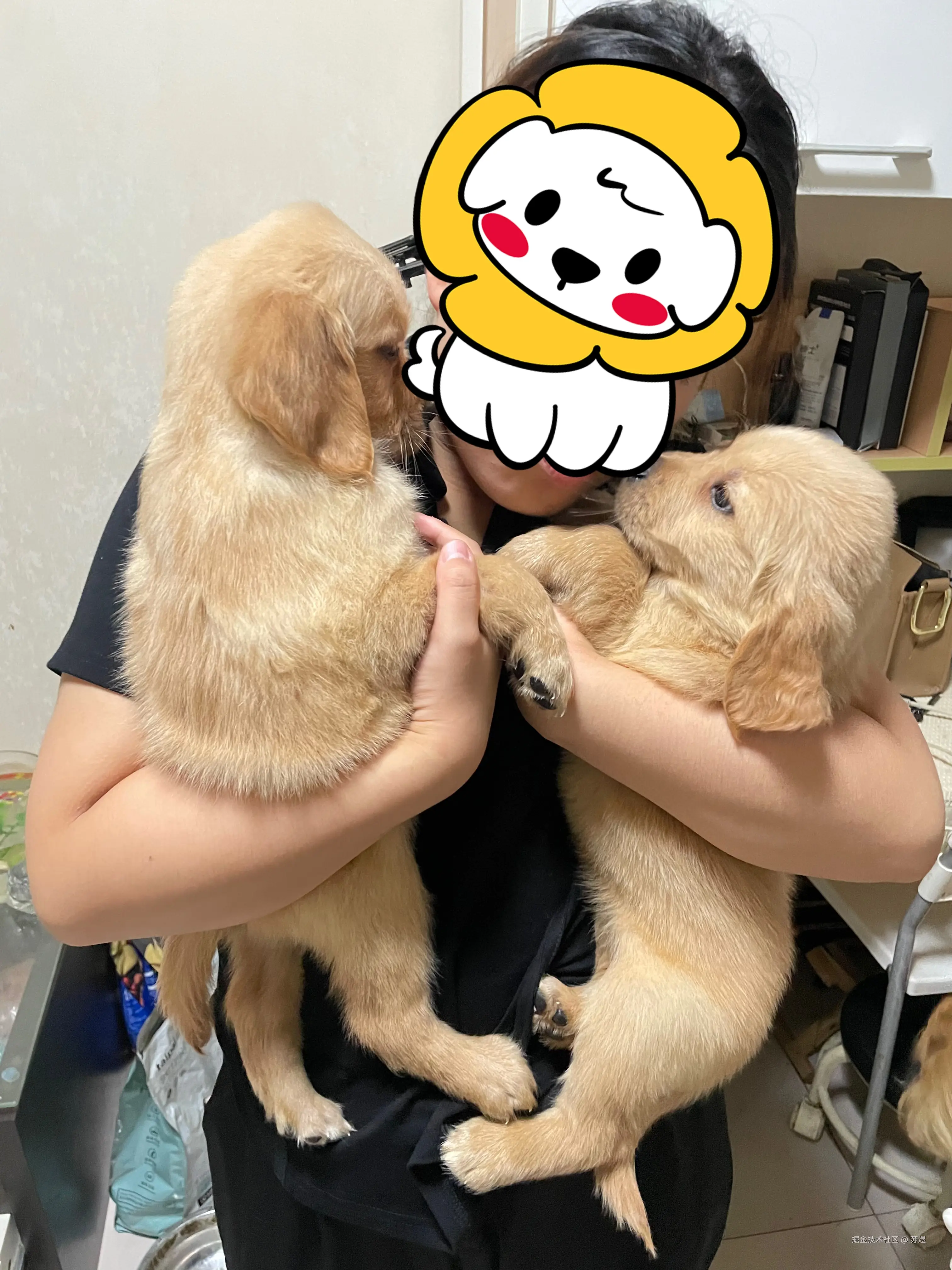 苏煜于2024-08-05 11:46发布的图片