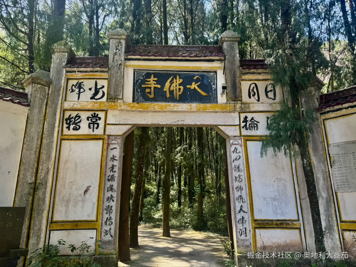 奥地利大番茄于2025-03-24 02:28发布的图片