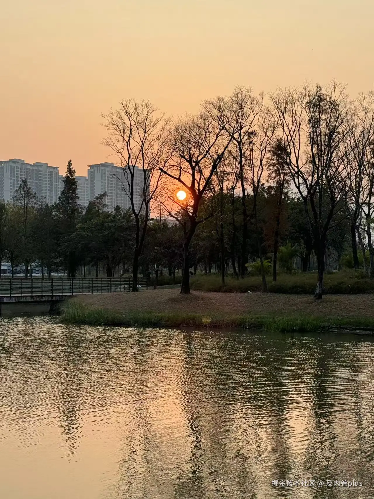 反内卷plus于2024-12-30 10:13发布的图片