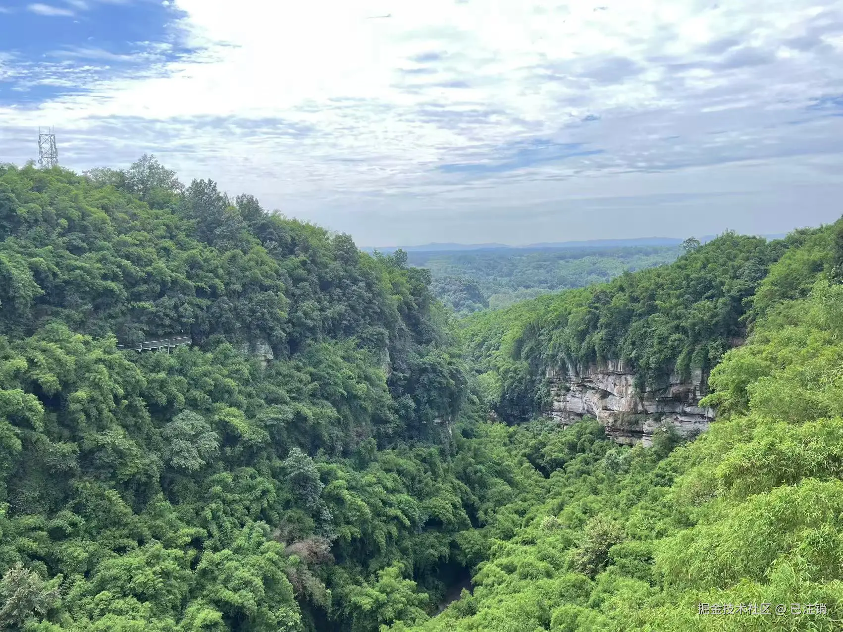 已注销于2025-05-26 08:12发布的图片