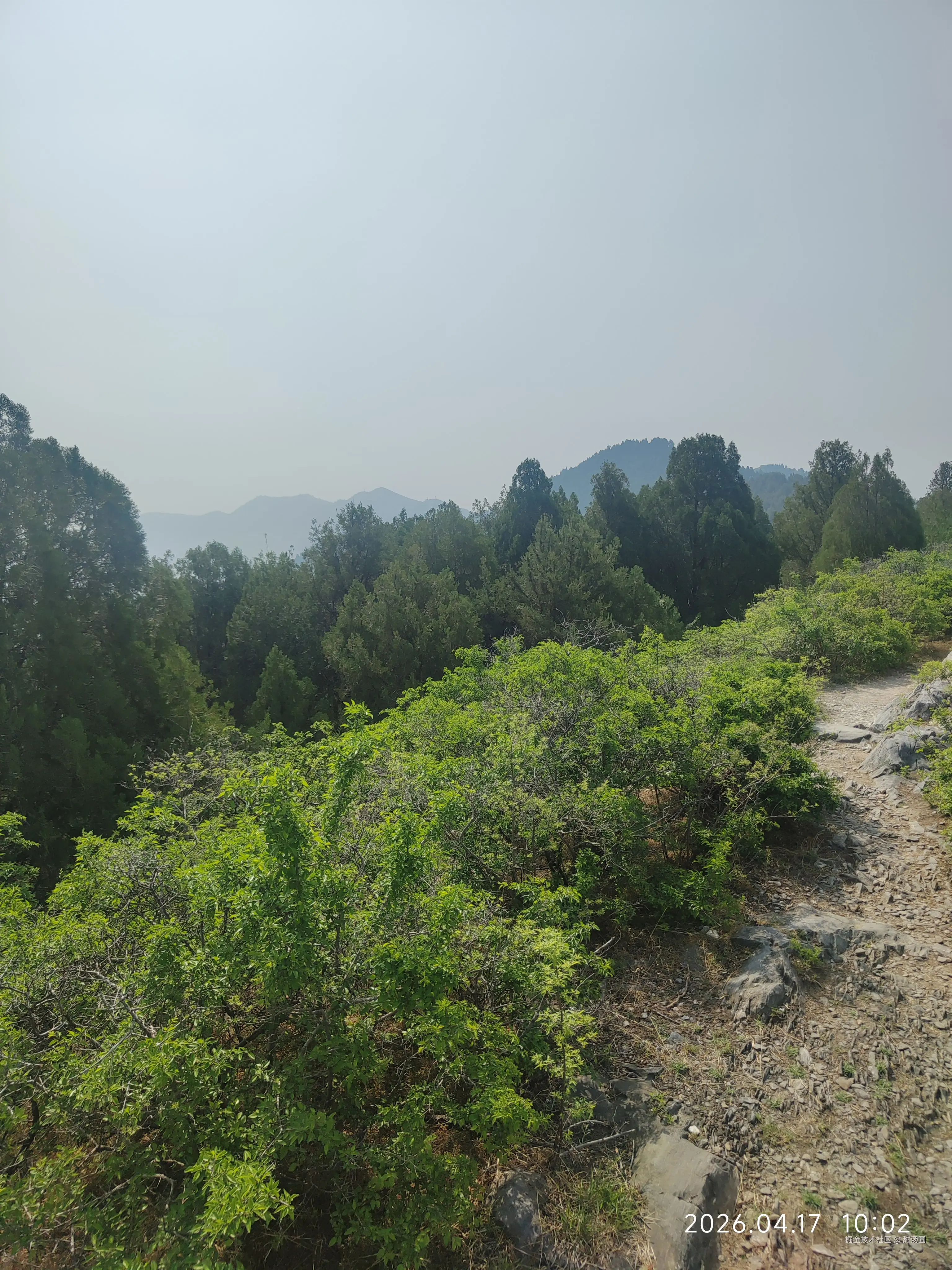 甜汤圆于2026-04-17 10:03发布的图片