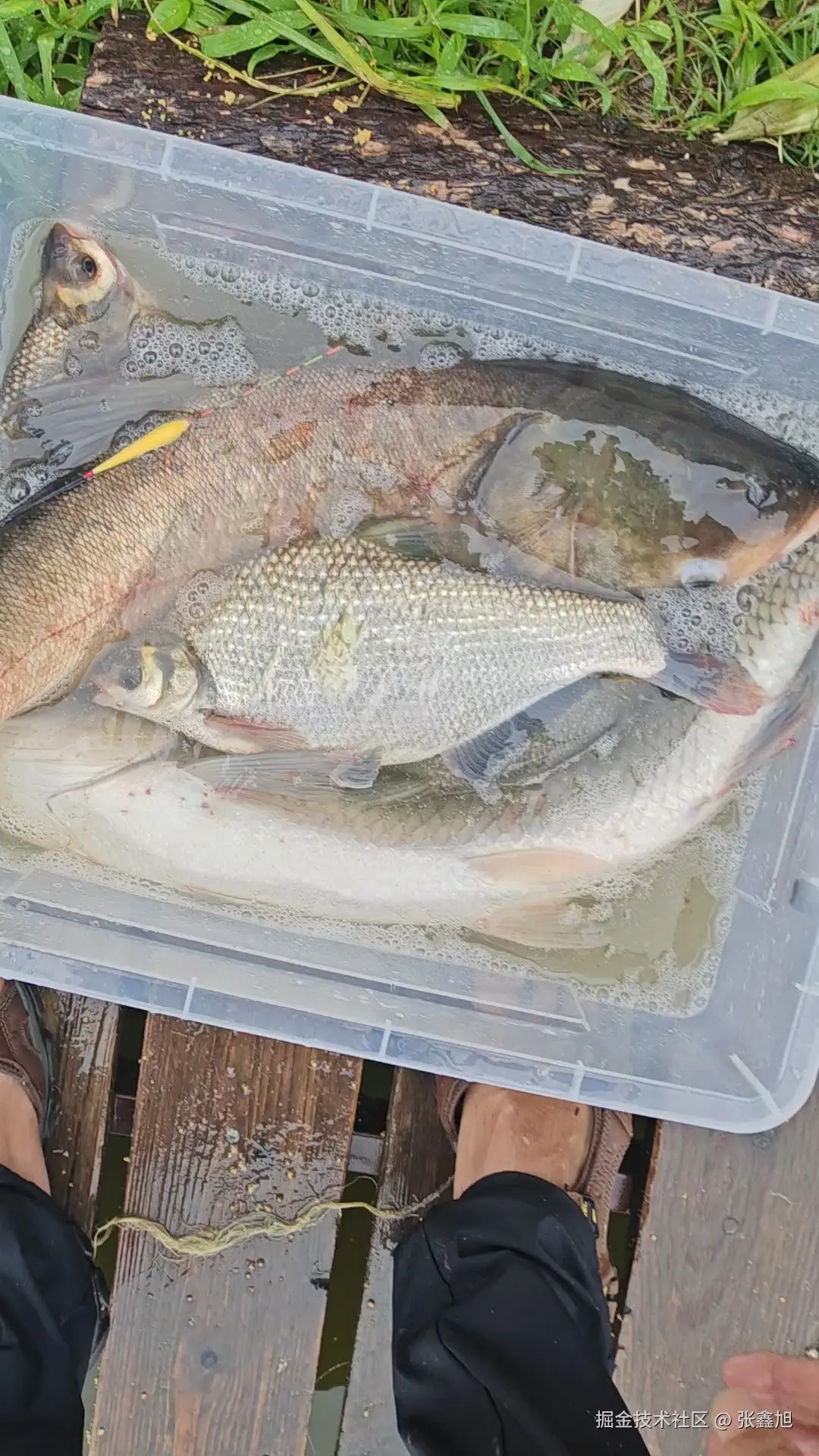 张鑫旭于2025-08-04 11:15发布的图片