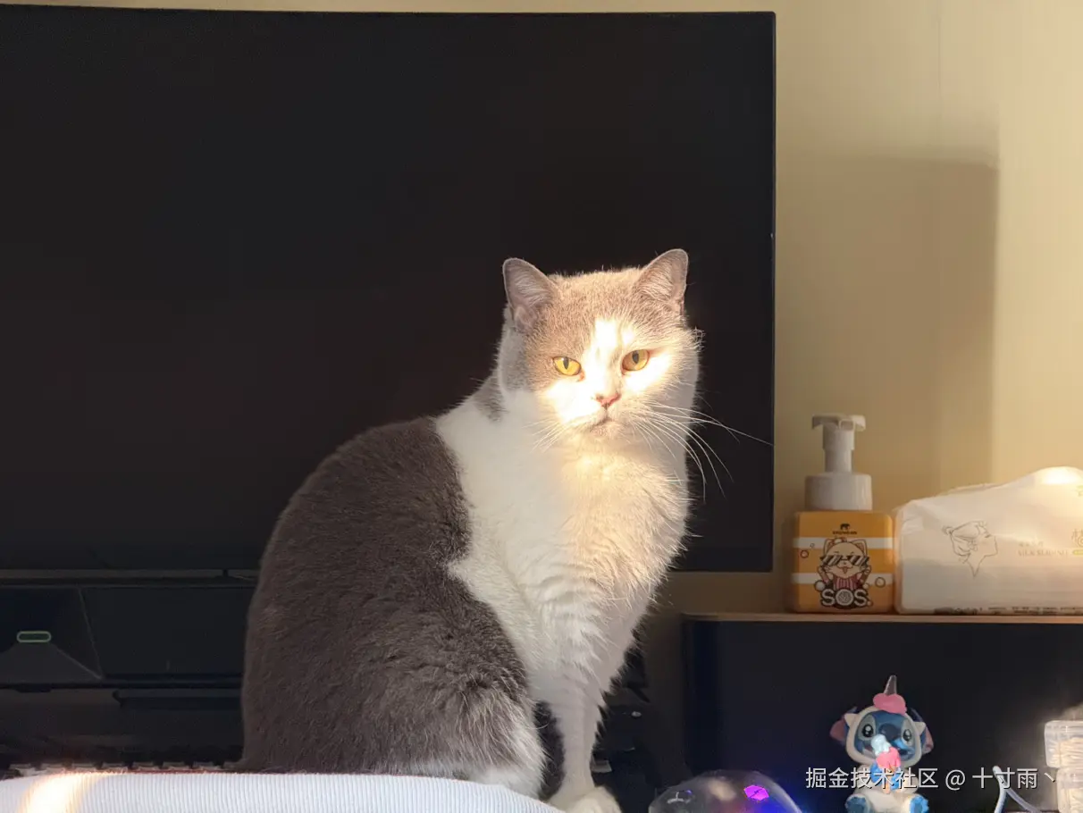 十寸雨丶于2026-01-06 07:25发布的图片