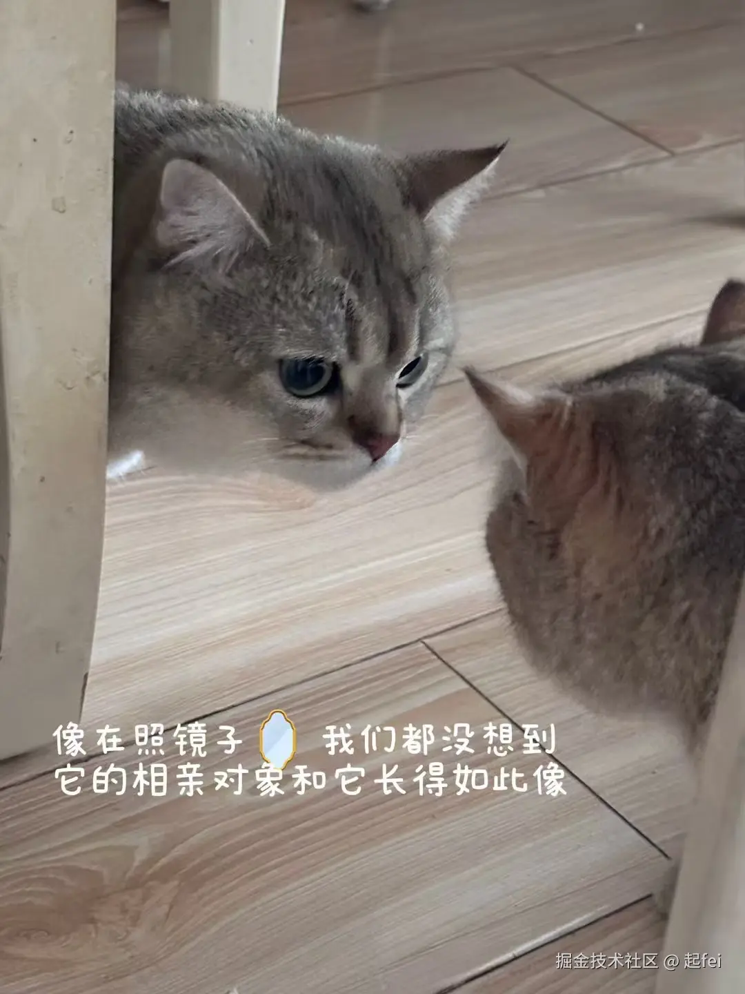 起fei于2025-03-10 03:02发布的图片