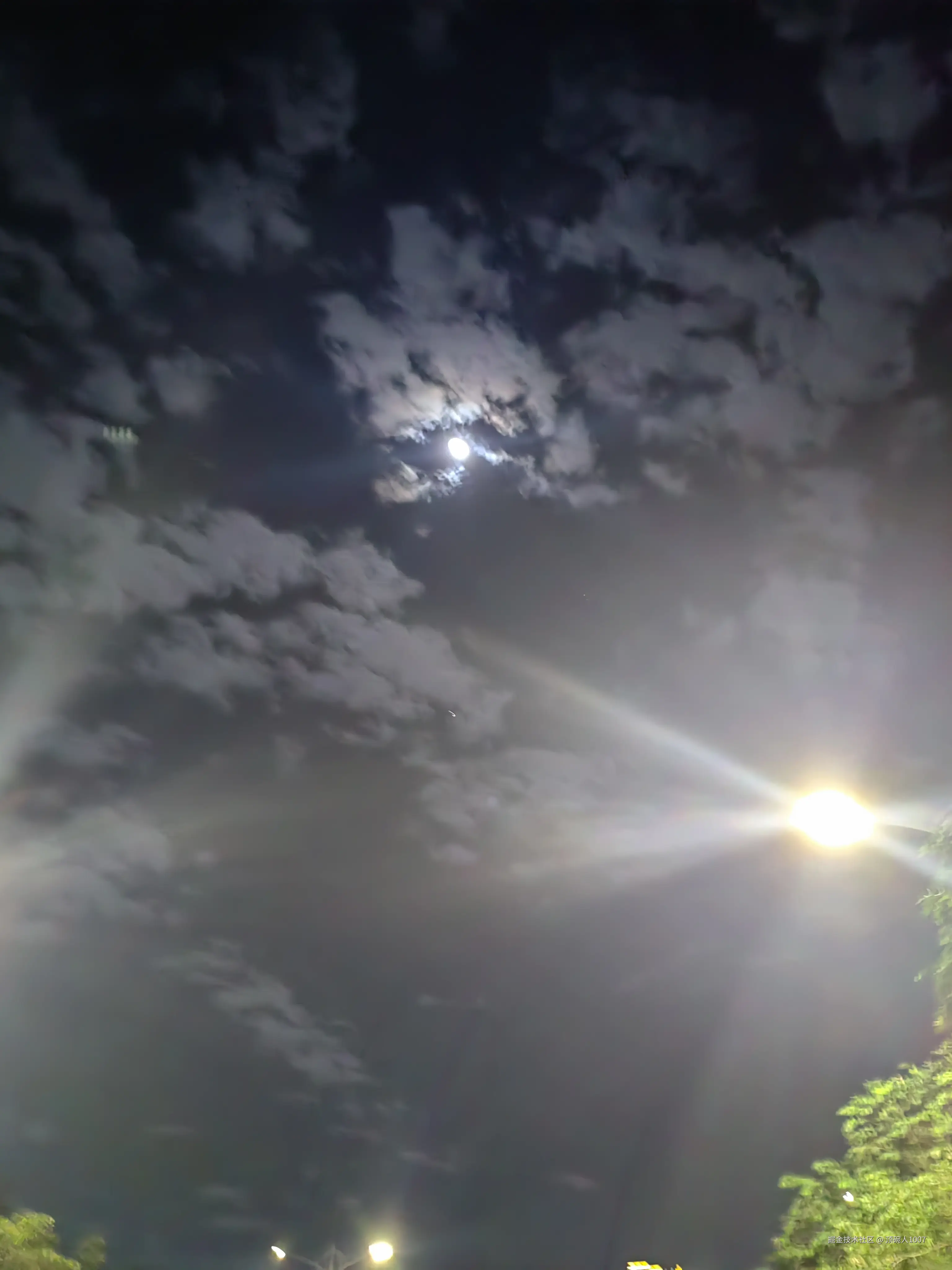 顶碗人1007于2024-11-17 00:10发布的图片