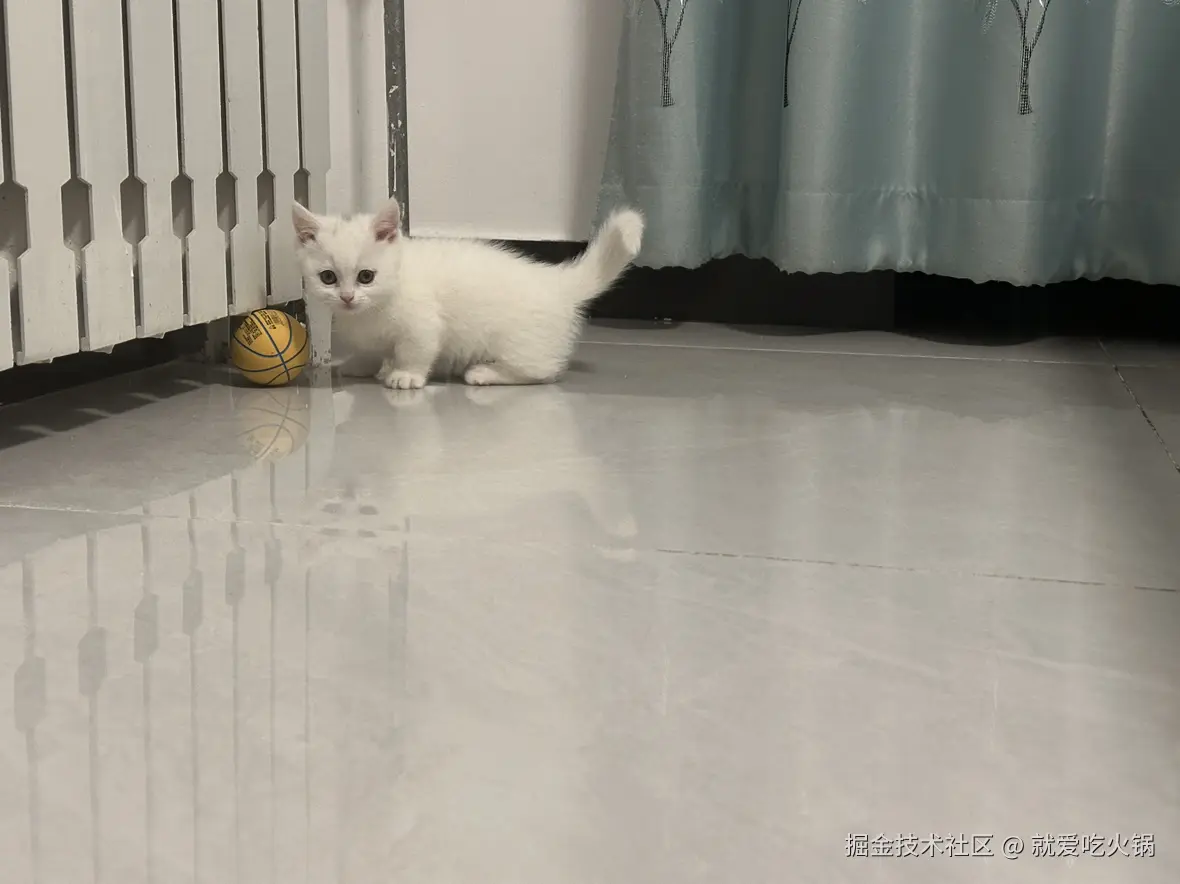 就爱吃火锅于2025-02-19 09:30发布的图片