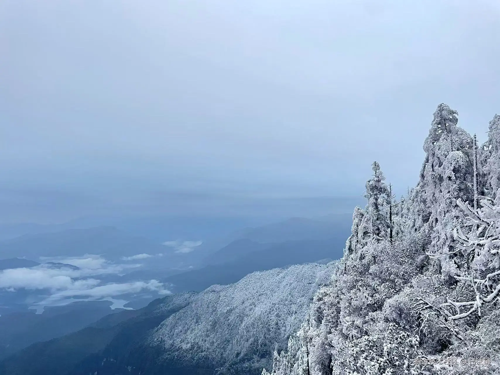 已注销于2025-05-26 16:12发布的图片