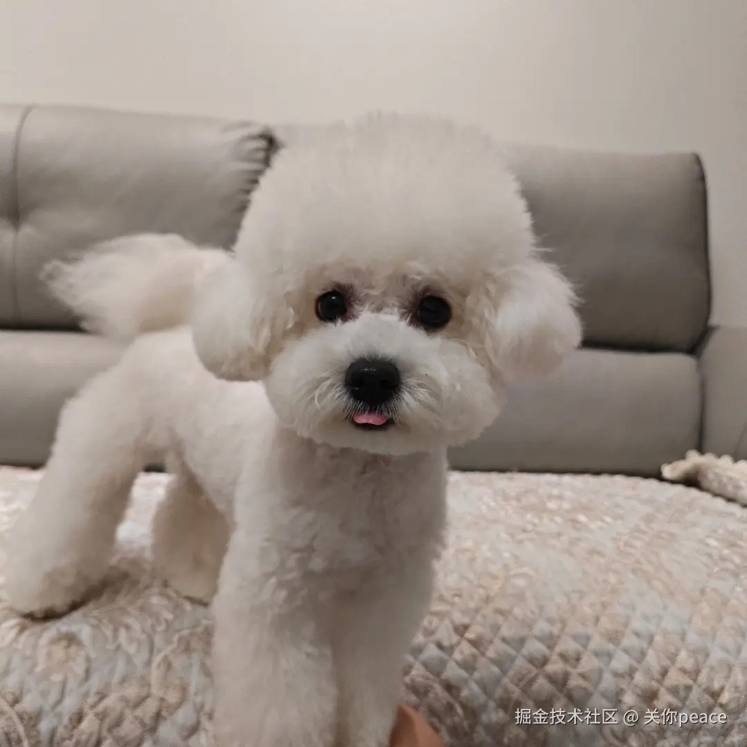 关你peace于2024-10-14 15:59发布的图片